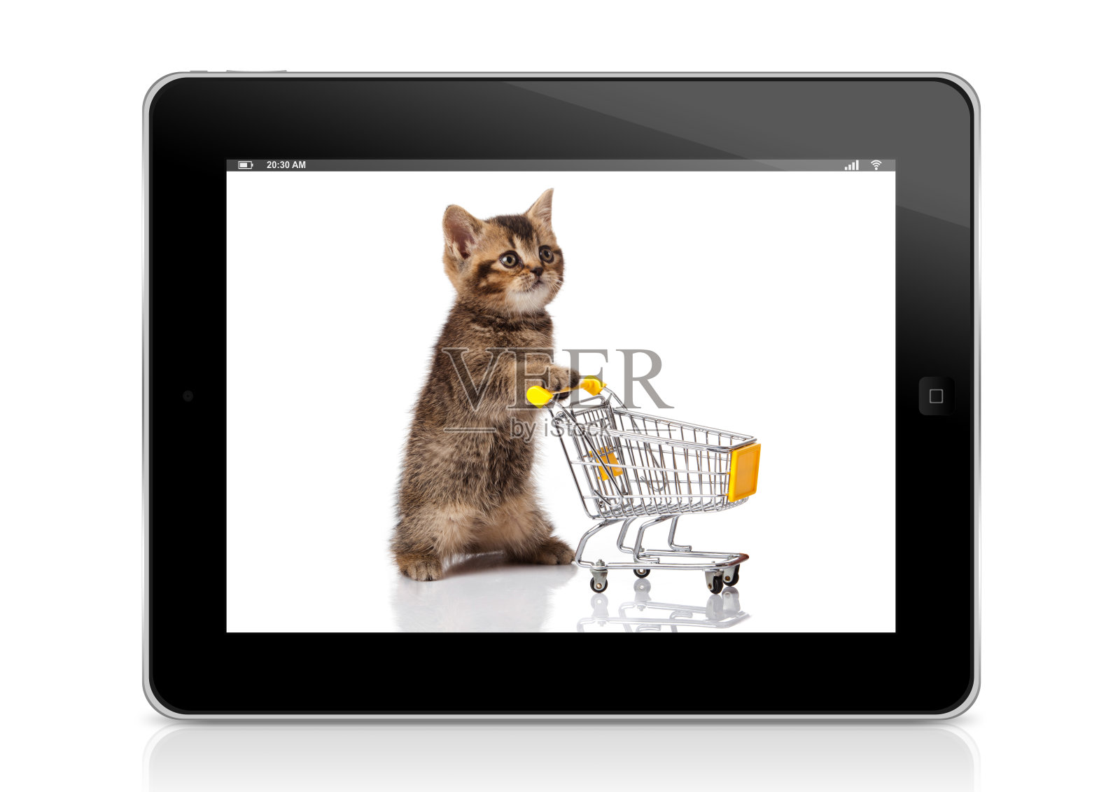 在白色背景的电子平板电脑上看到猫和微型购物车照片摄影图片