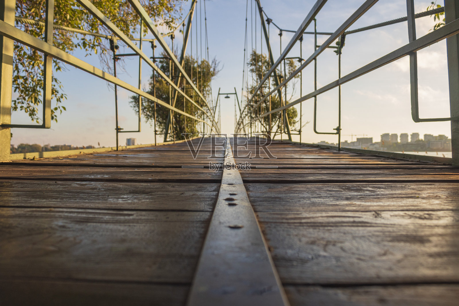 景观-森林-欧洲，罗马尼亚照片摄影图片