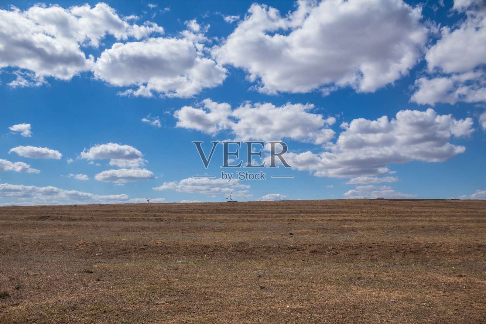 景观-森林-欧洲，罗马尼亚照片摄影图片