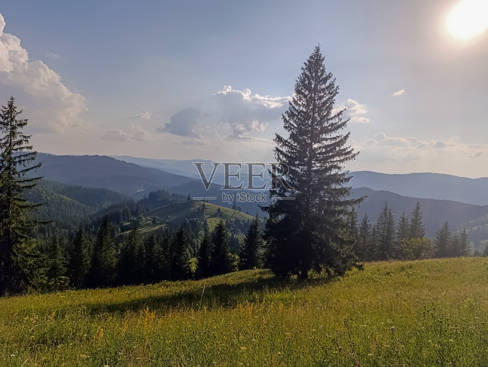 景观-森林-欧洲，罗马尼亚照片摄影图片