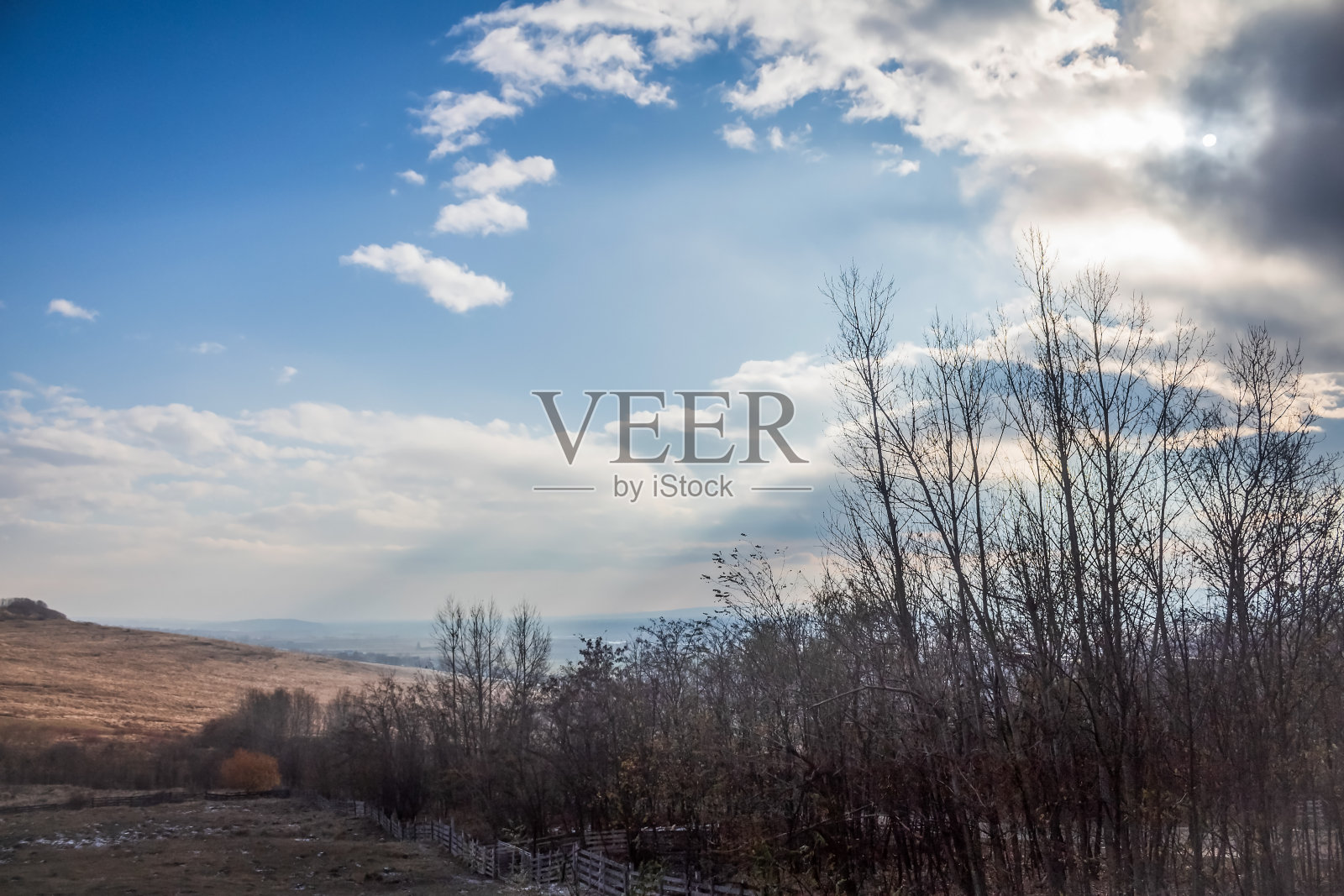 景观-森林-欧洲，罗马尼亚照片摄影图片