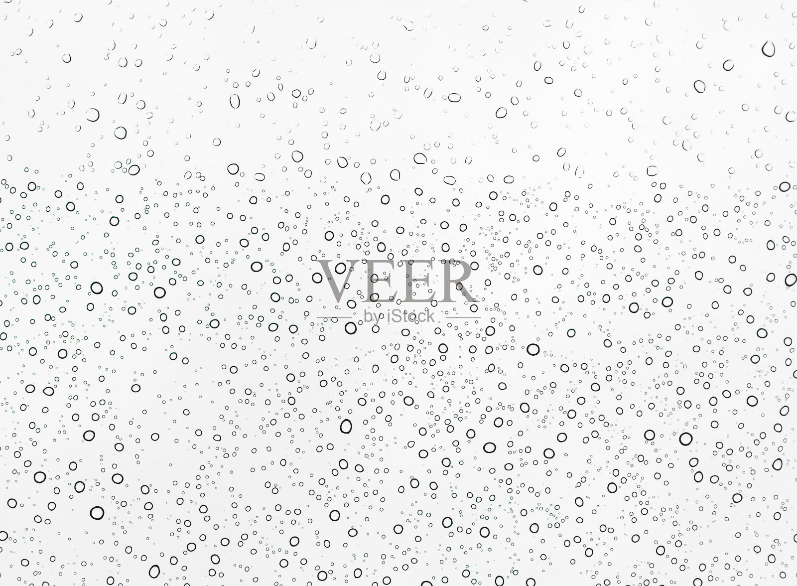 一群鸟飞过白色的背景照片摄影图片