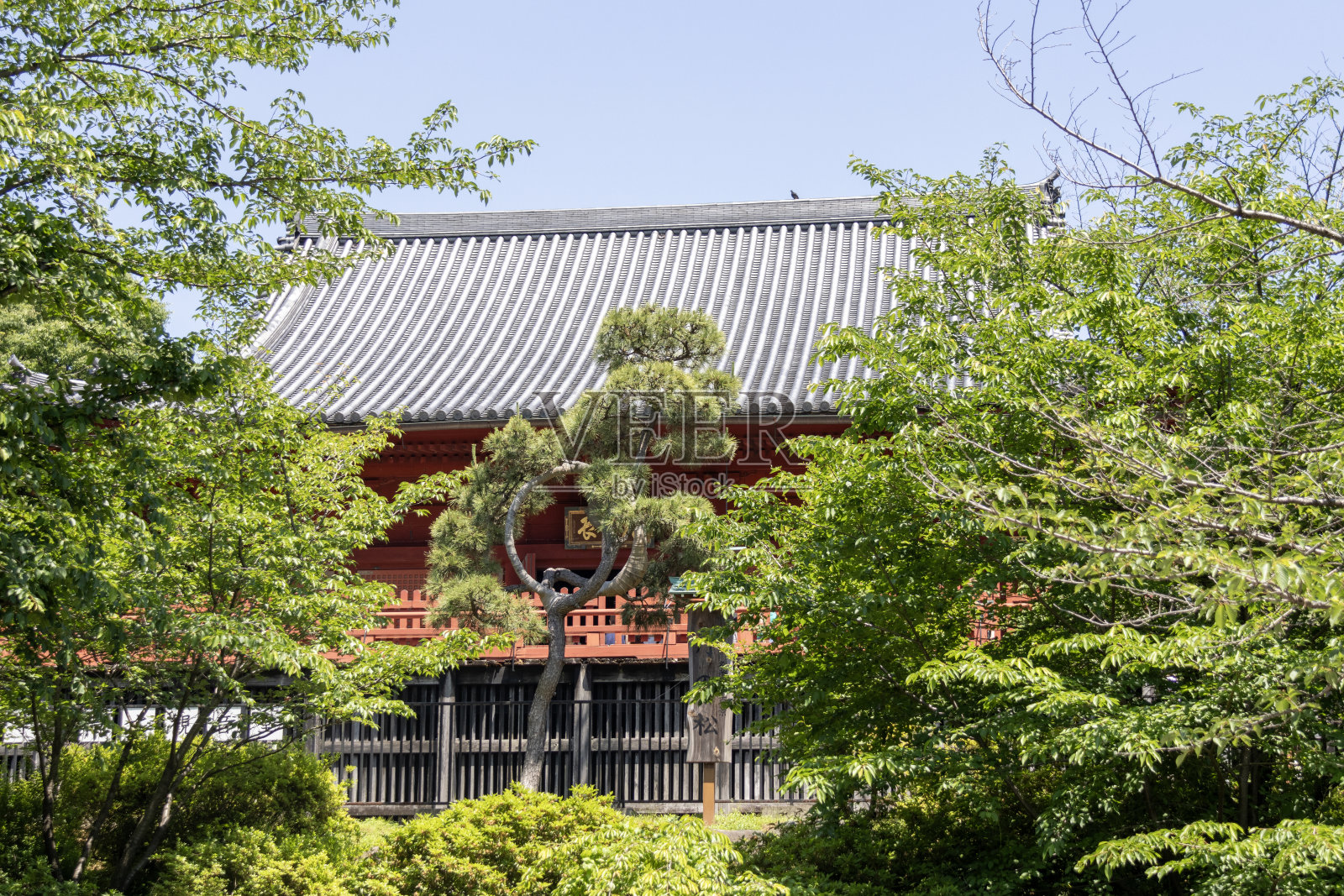 清水观音堂位于东京上野公园。照片摄影图片