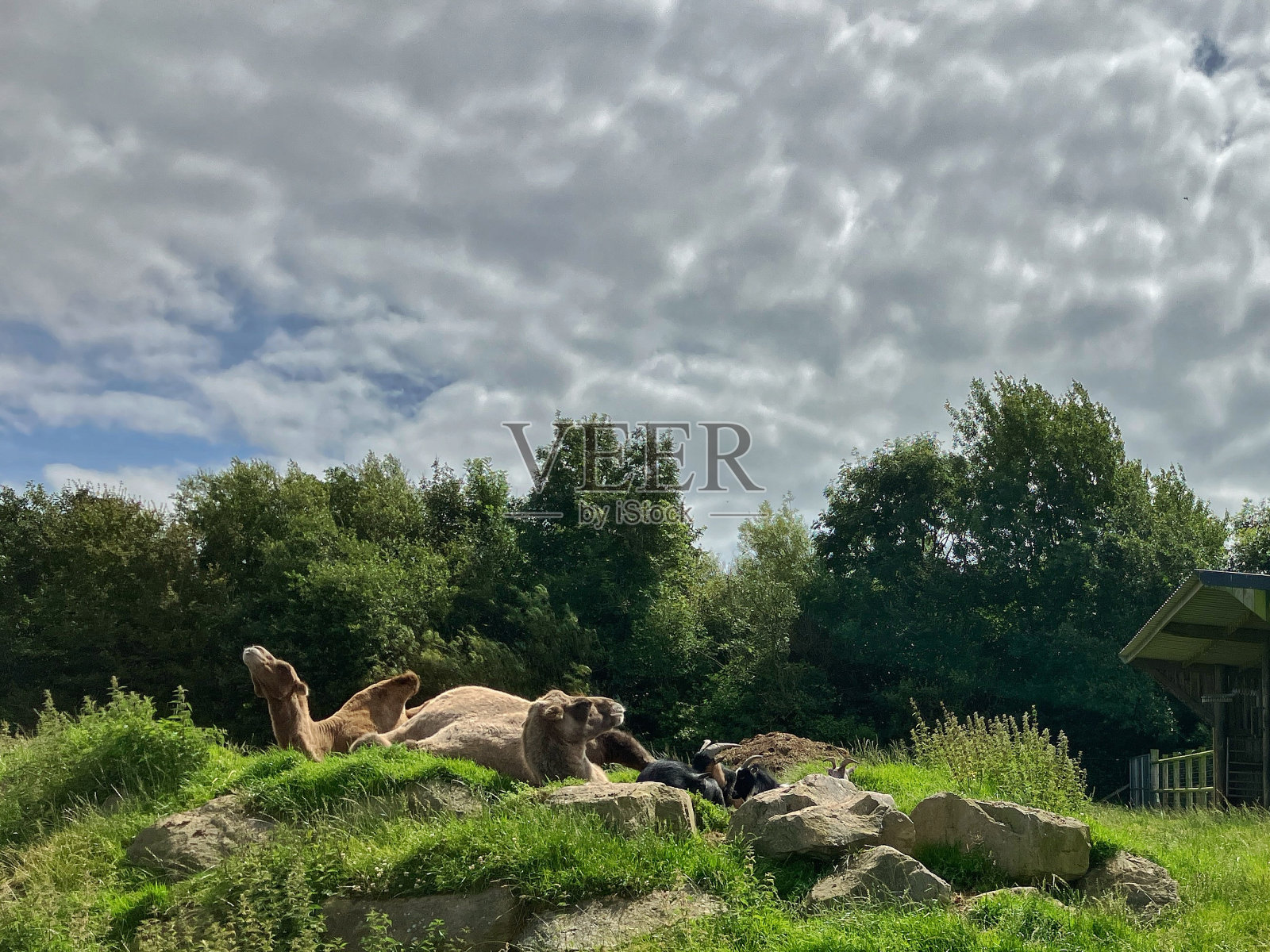 苏格兰西南部的奇异荒野照片摄影图片
