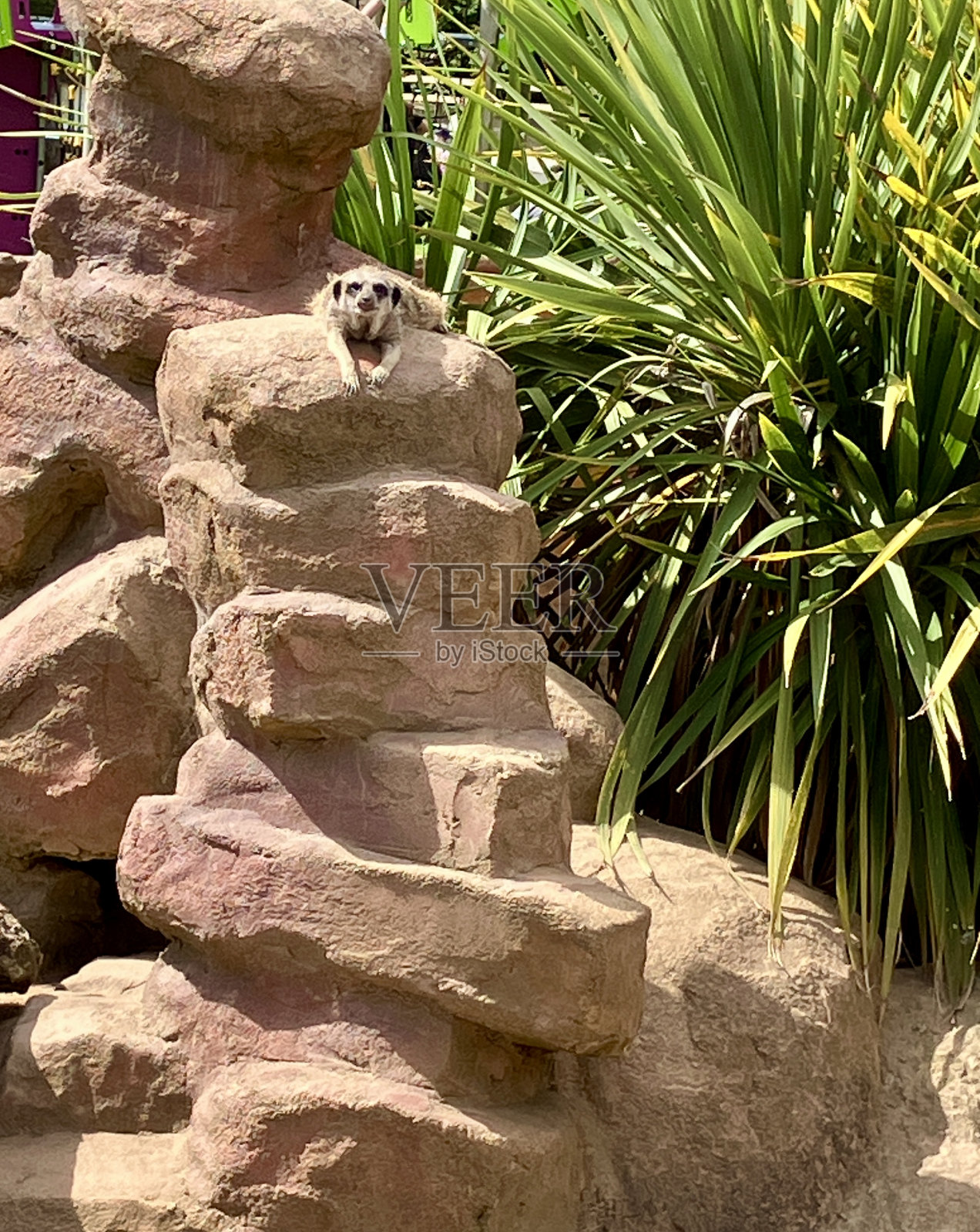 苏格兰西南部的奇异荒野照片摄影图片