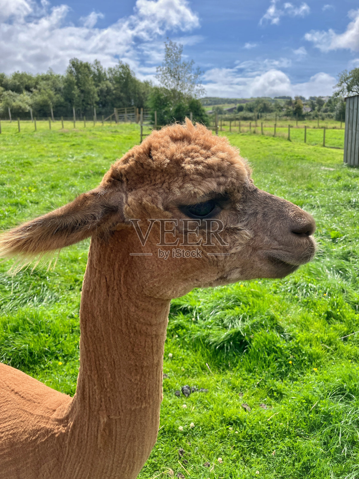 苏格兰西南部的奇异荒野照片摄影图片