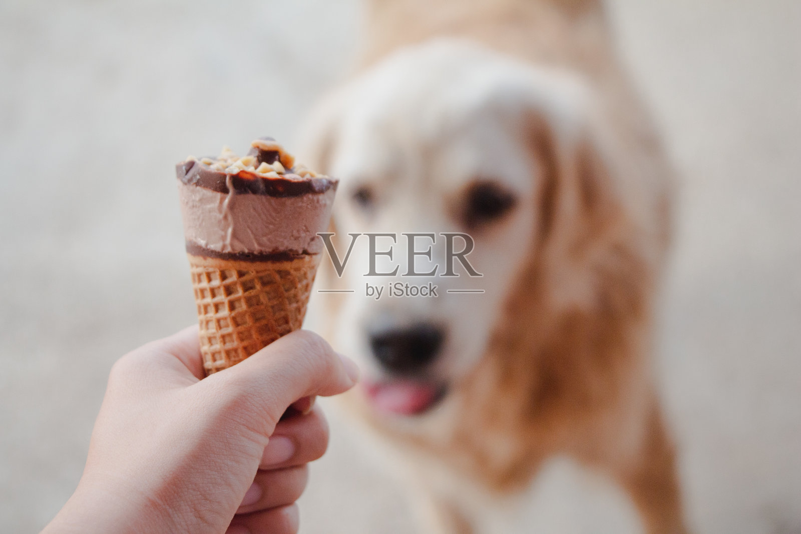 裁剪的人的手拿着冰淇淋蛋筒与狗在背景照片摄影图片