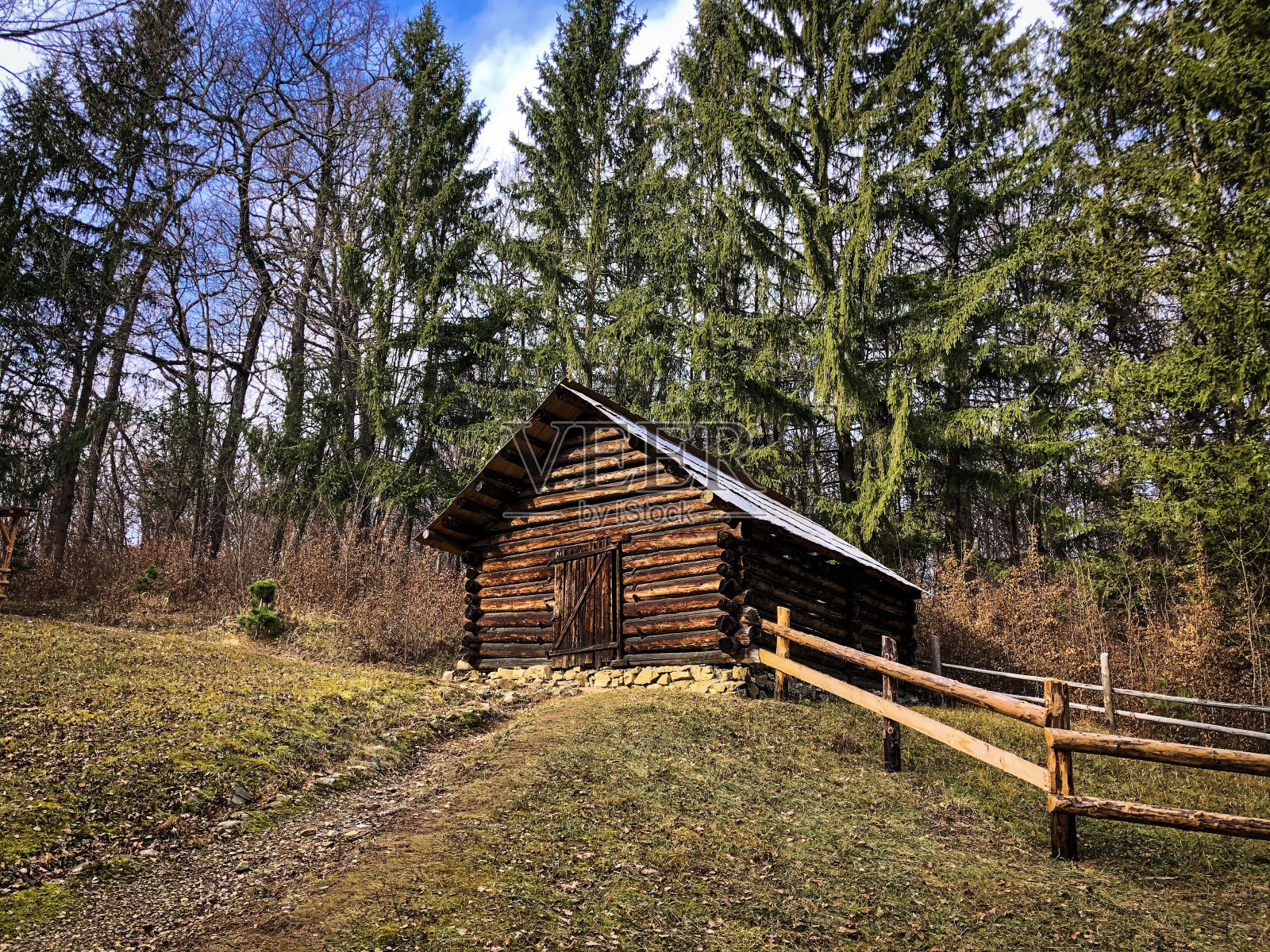 被针叶树包围的木屋照片摄影图片