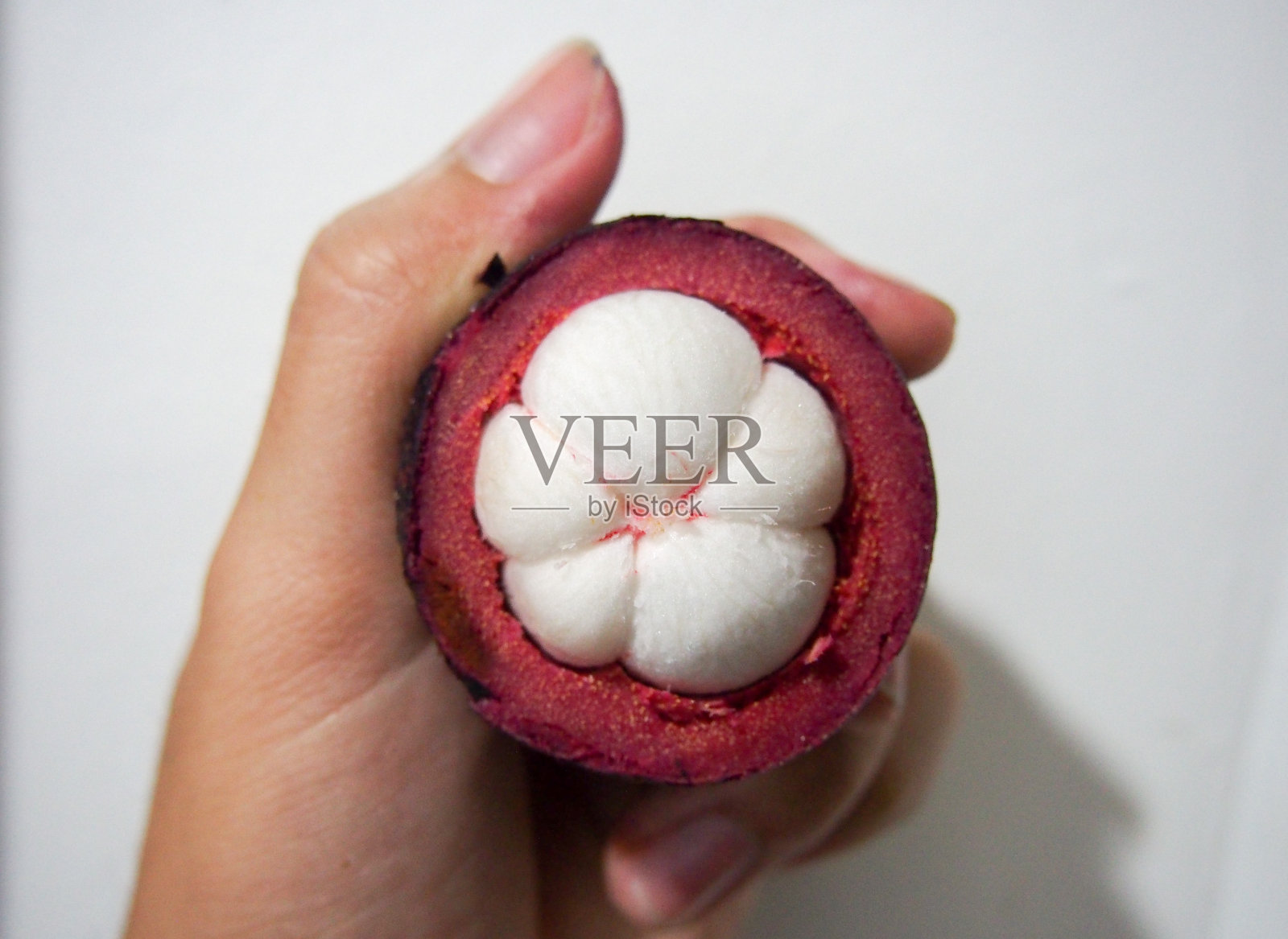 手持山竹对白色背景裁剪图像照片摄影图片