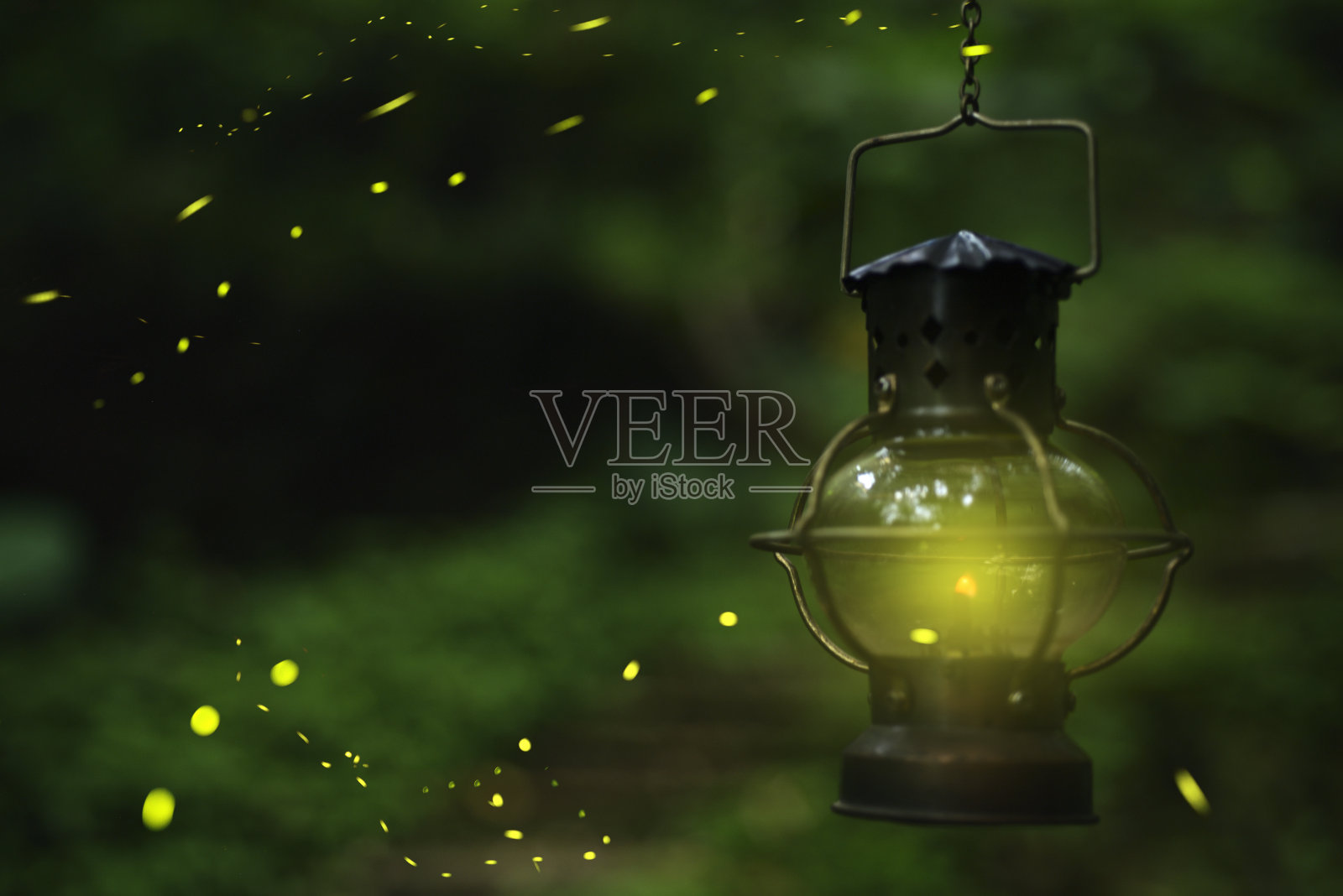 悬挂在户外的灯笼上的萤火虫特写照片摄影图片