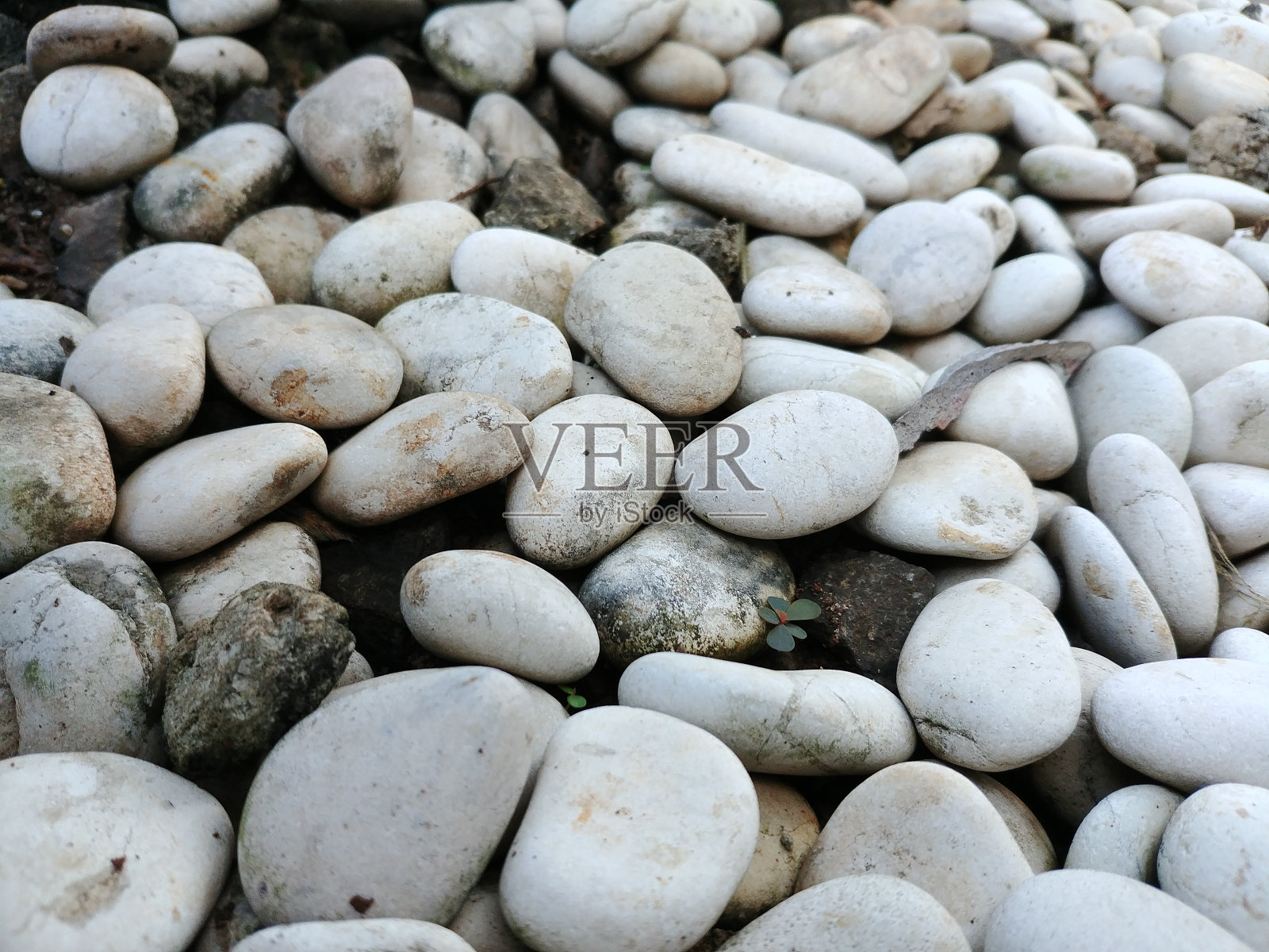 全画幅拍摄海滩上的鹅卵石照片摄影图片
