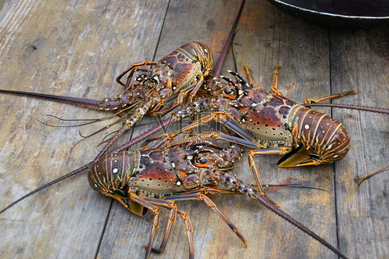 木门特写照片摄影图片