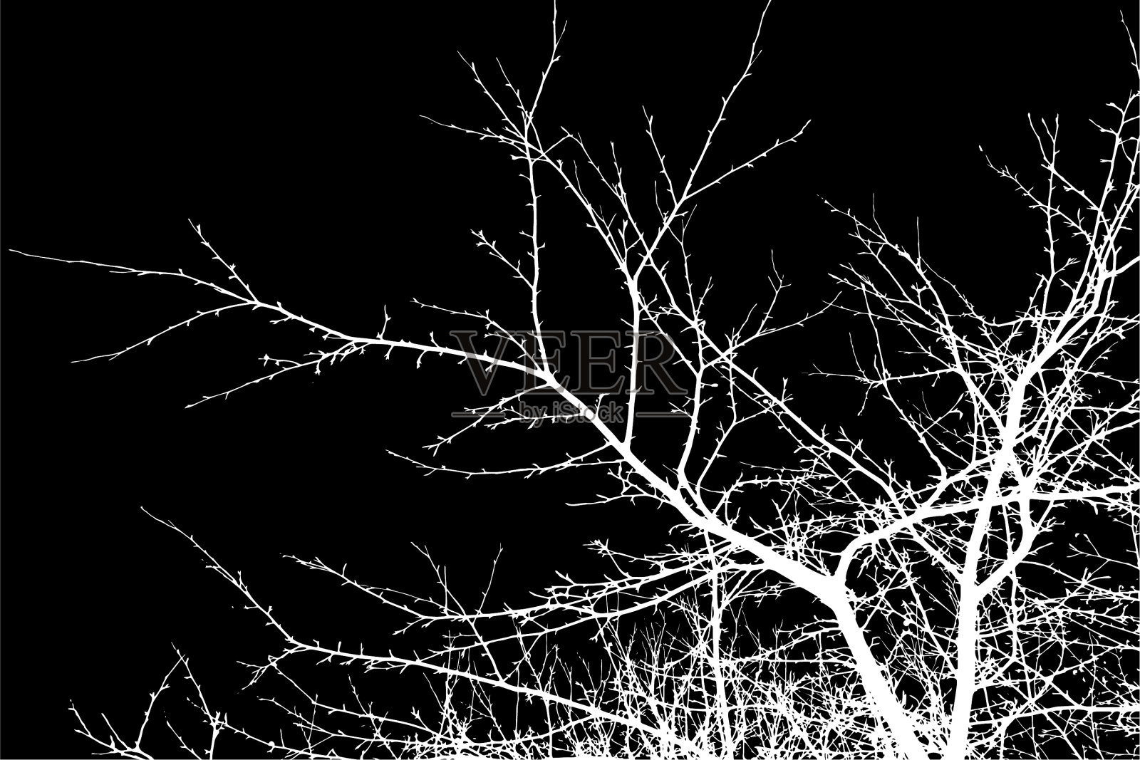 透明的复杂剪影的树枝，艺术地设计在一个黑暗的背景插画图片素材