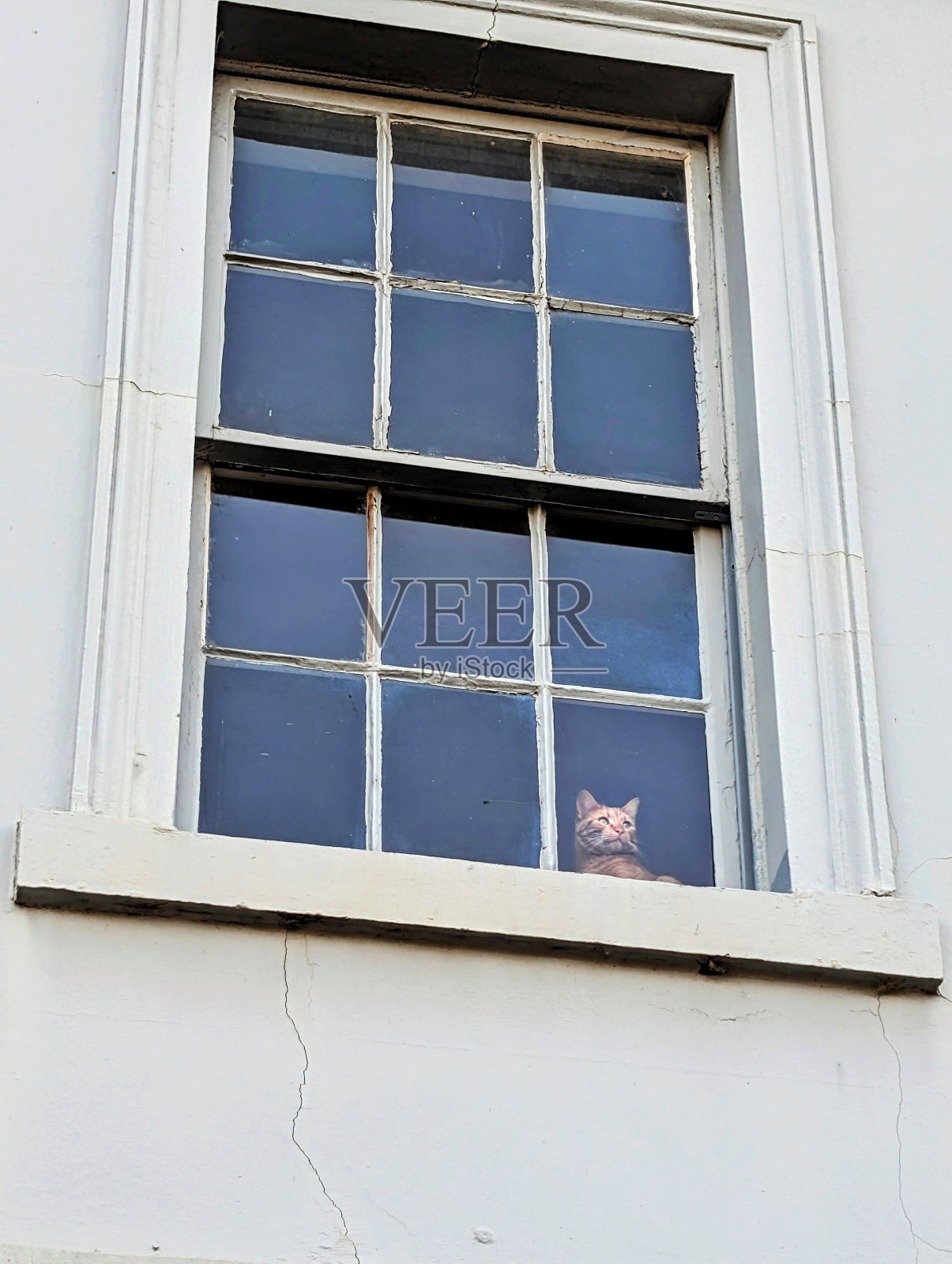 可爱的橙色猫咪透过一扇旧窗户看天空照片摄影图片