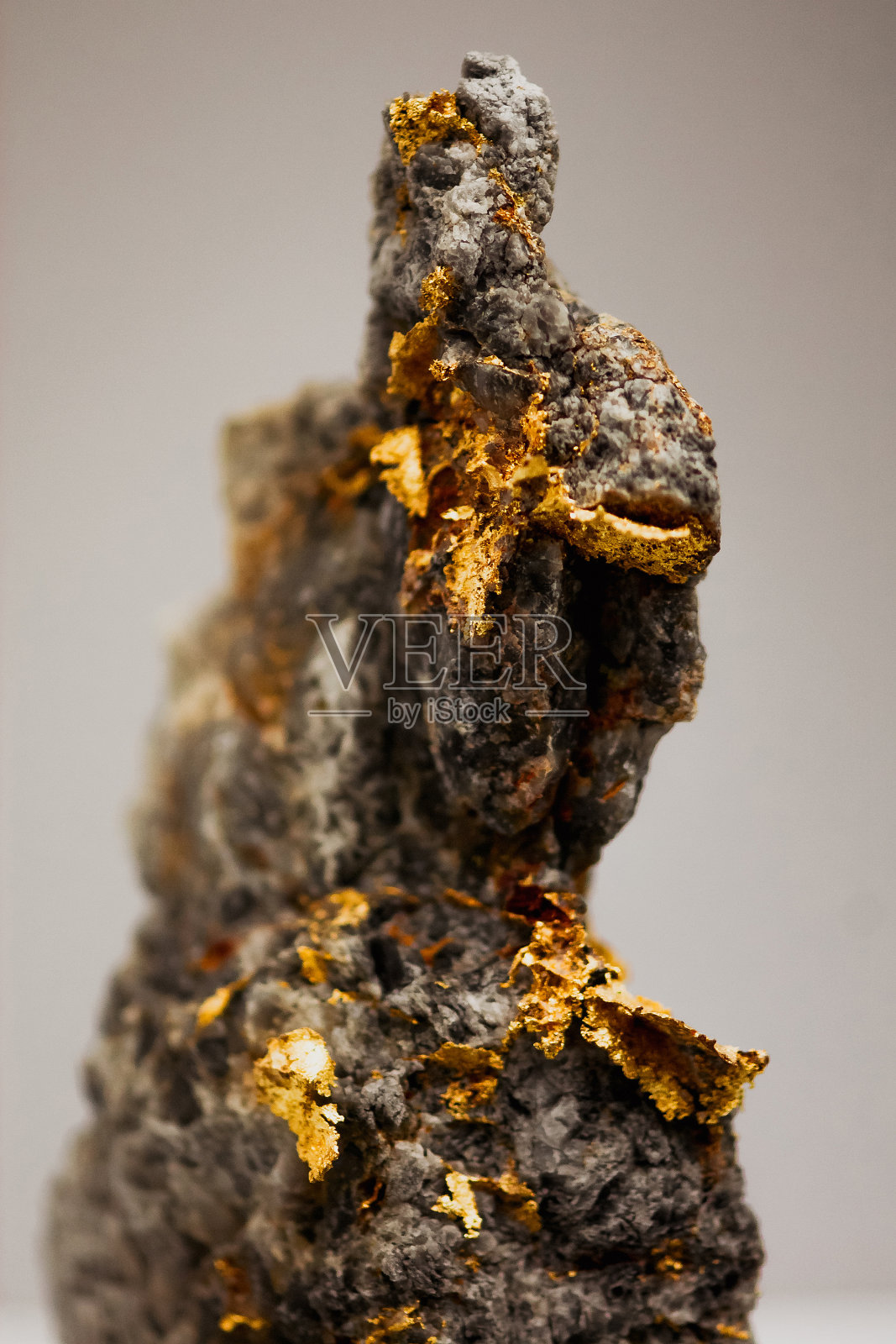 自然黄金对灰色背景的特写照片摄影图片