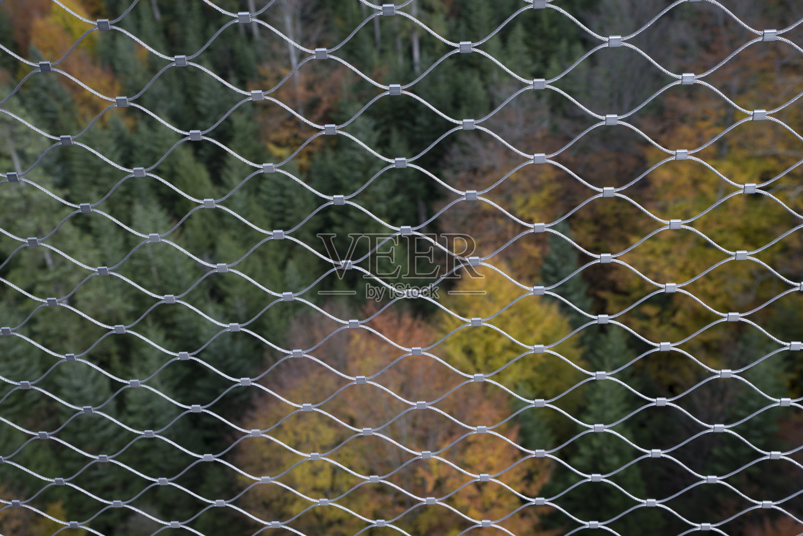 从高角度透过铁链栅栏看秋天的树木照片摄影图片