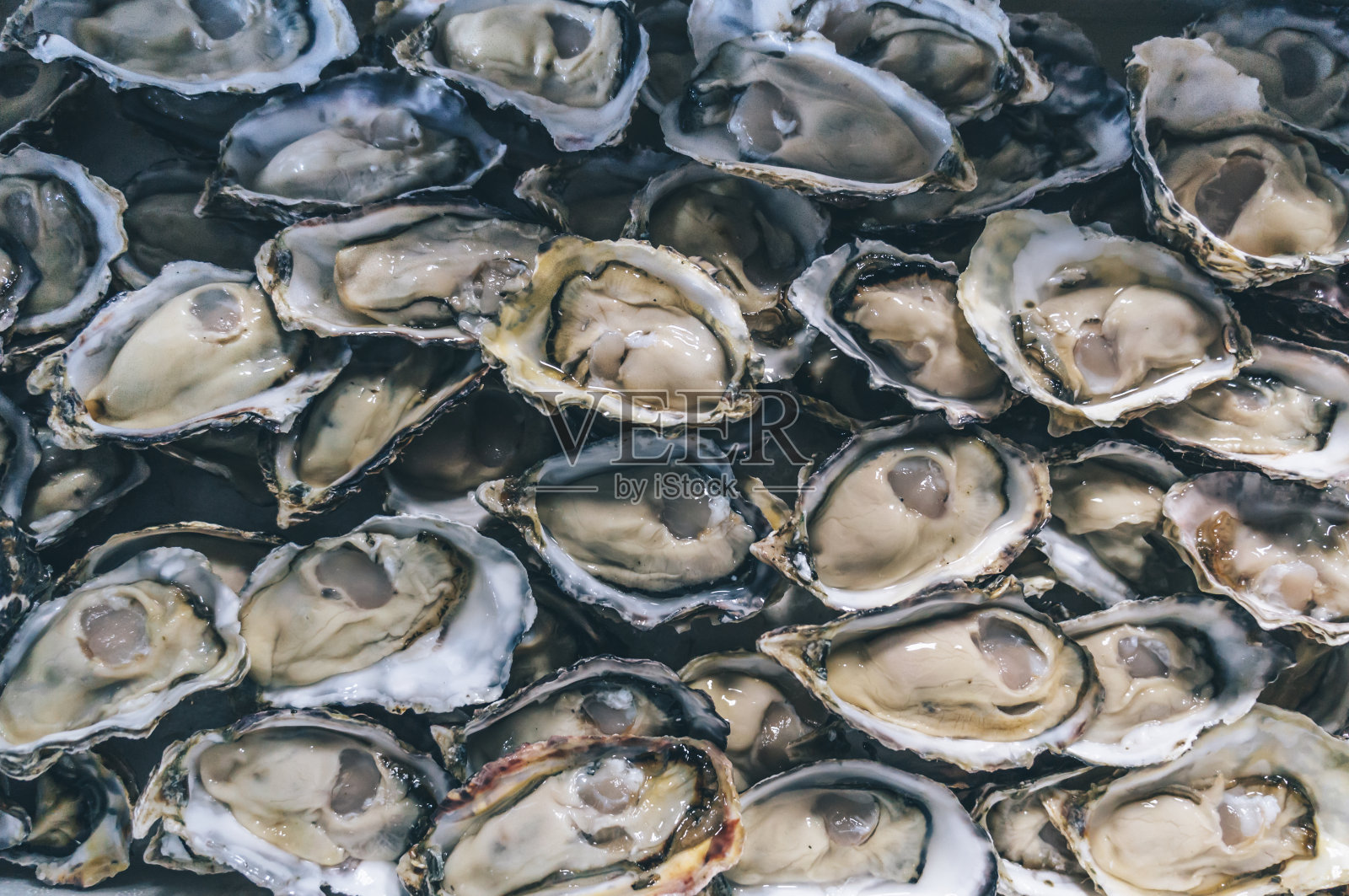 贝壳中的海鲜全画幅拍摄照片摄影图片