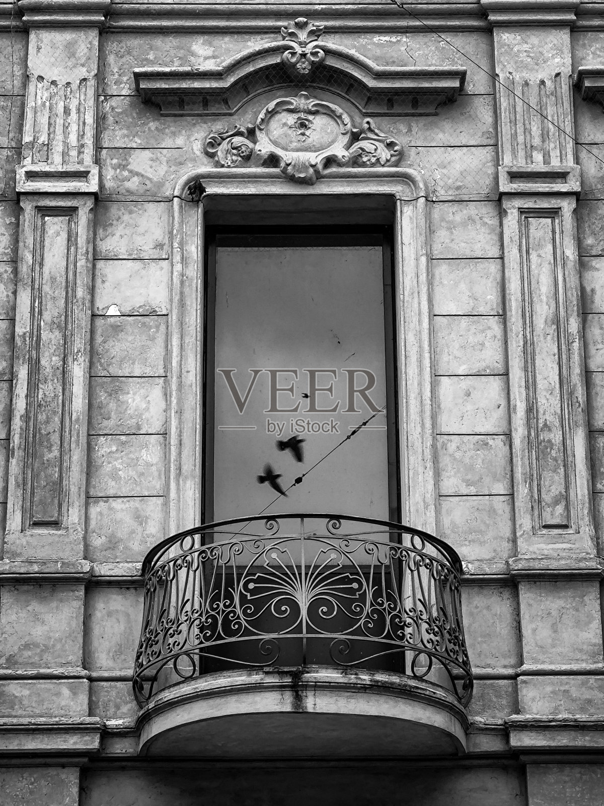 窗外的鸽子照片摄影图片