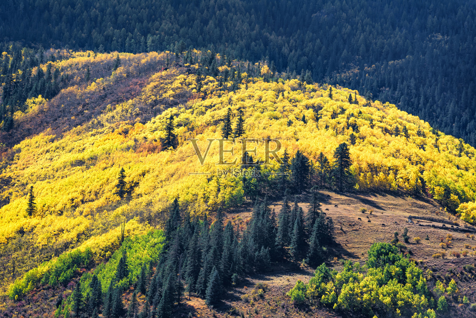 中国川藏线南部318年的秋景照片摄影图片