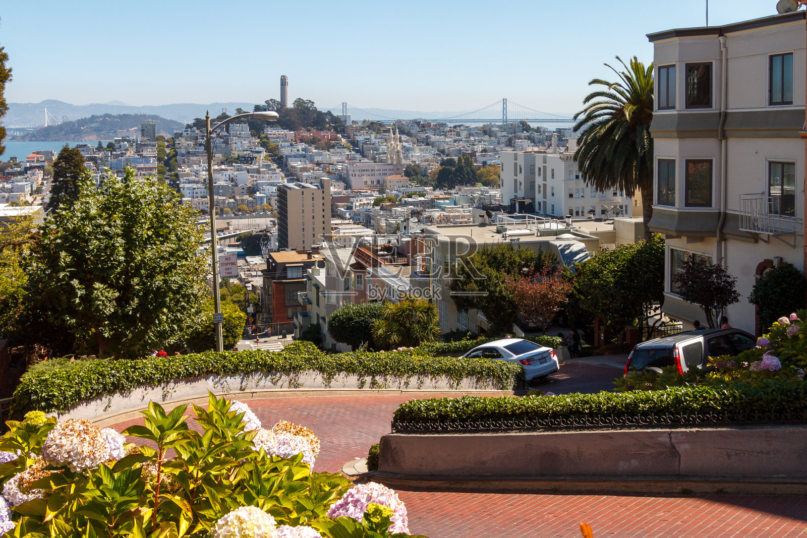 加州旧金山的伦巴第街弯弯曲曲照片摄影图片