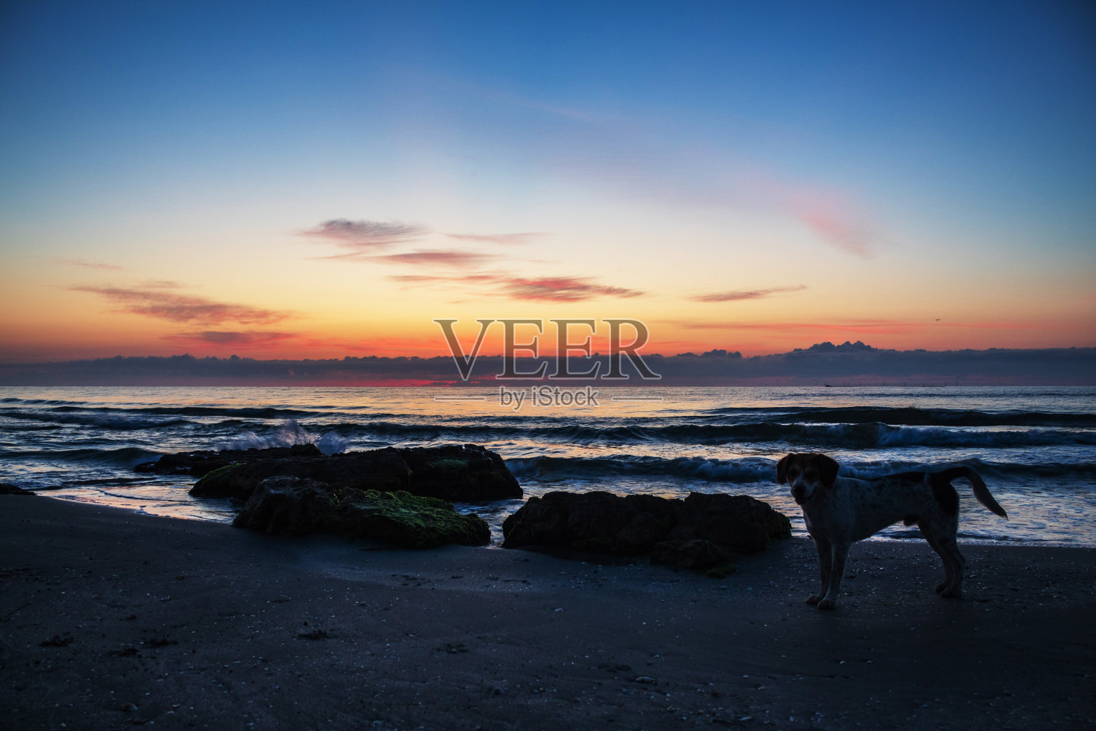 海，海岸-欧洲，罗马尼亚，康斯坦察地区照片摄影图片