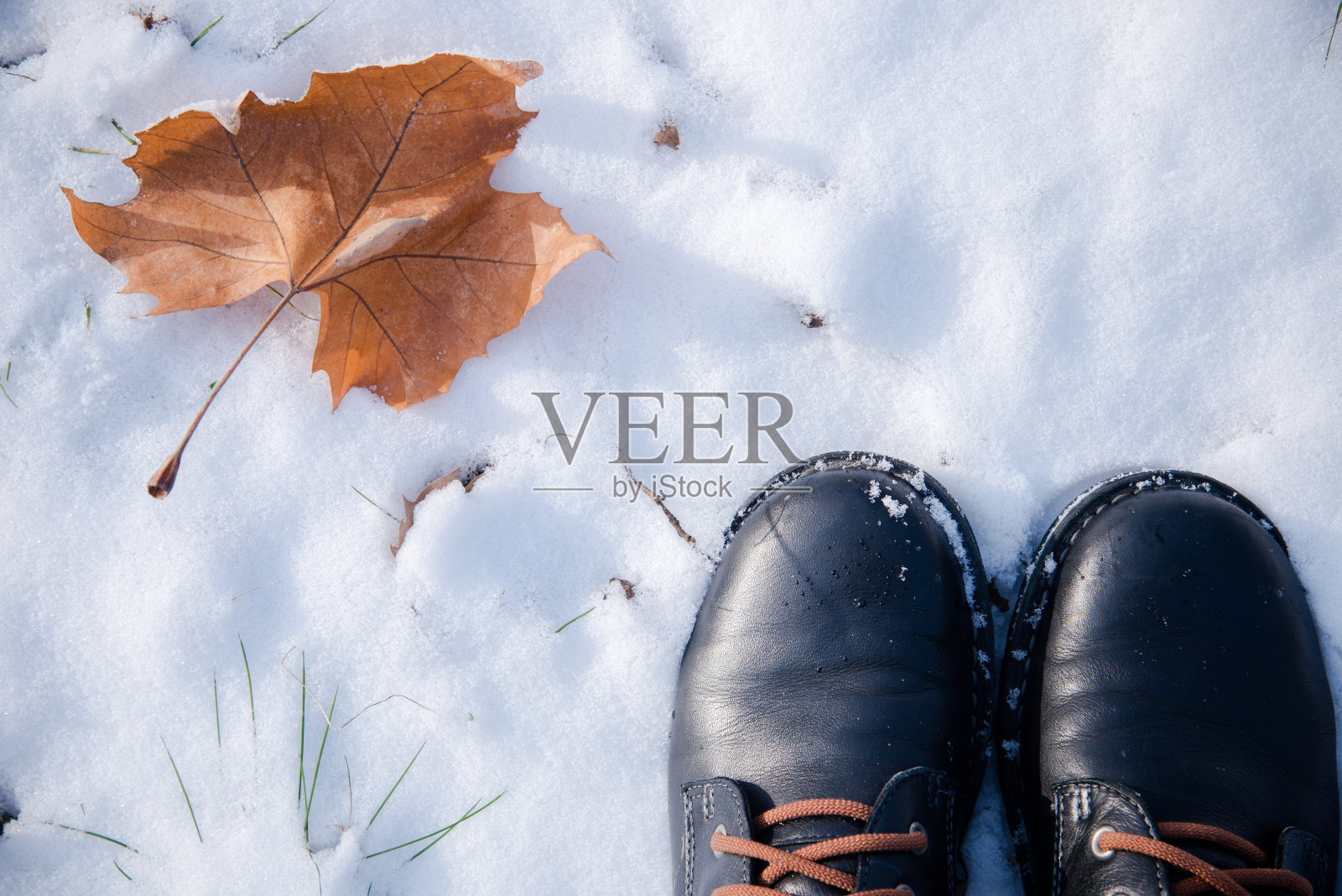 雪地上的落叶鞋照片摄影图片