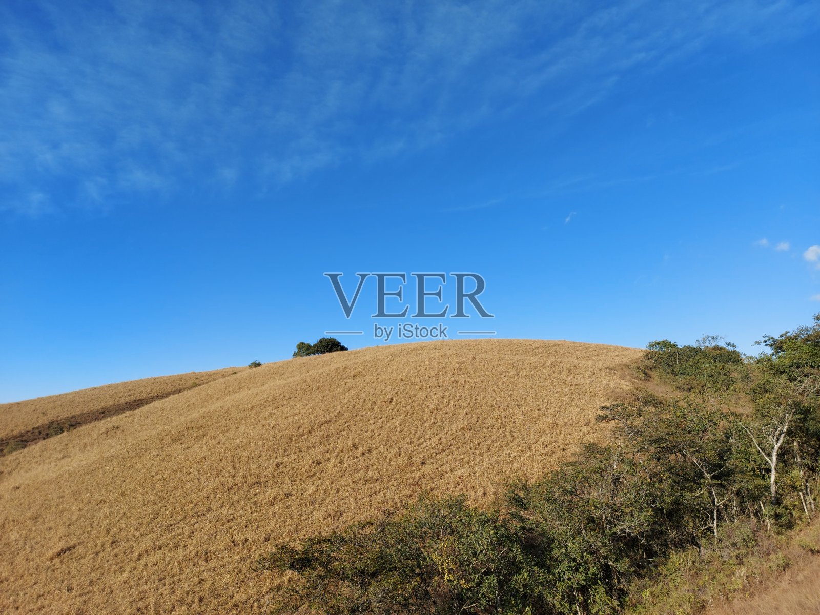 Contryside景观照片摄影图片