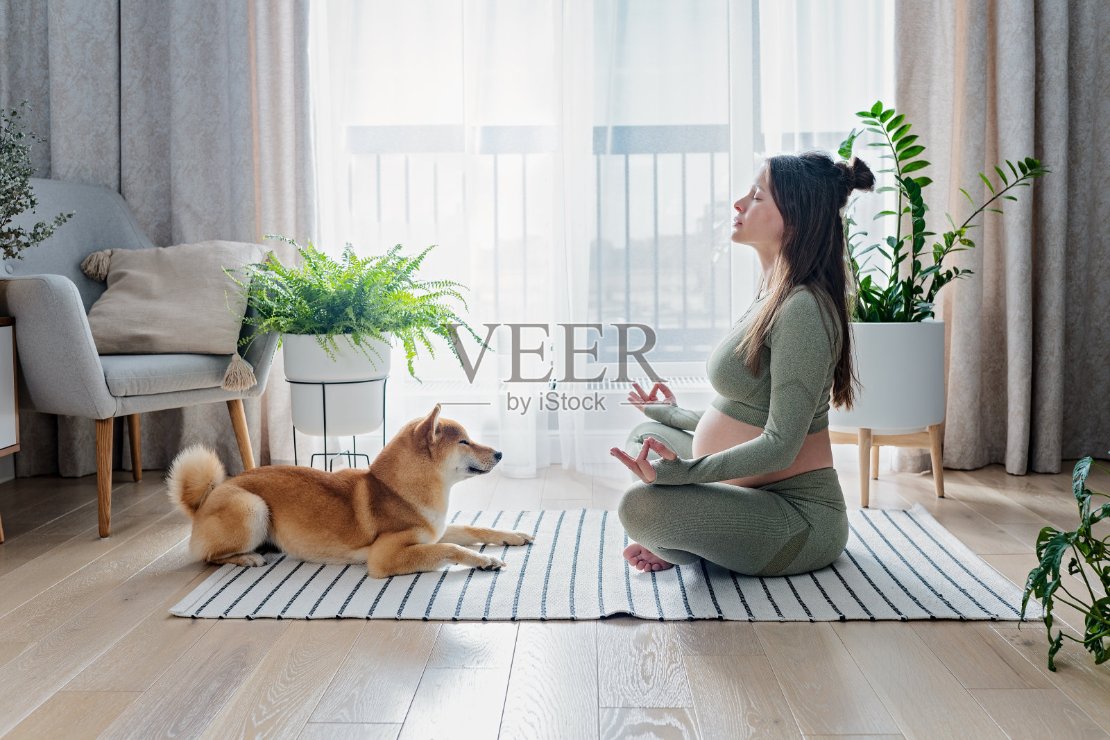 孕妇在家里明亮的客厅里做产前瑜伽照片摄影图片