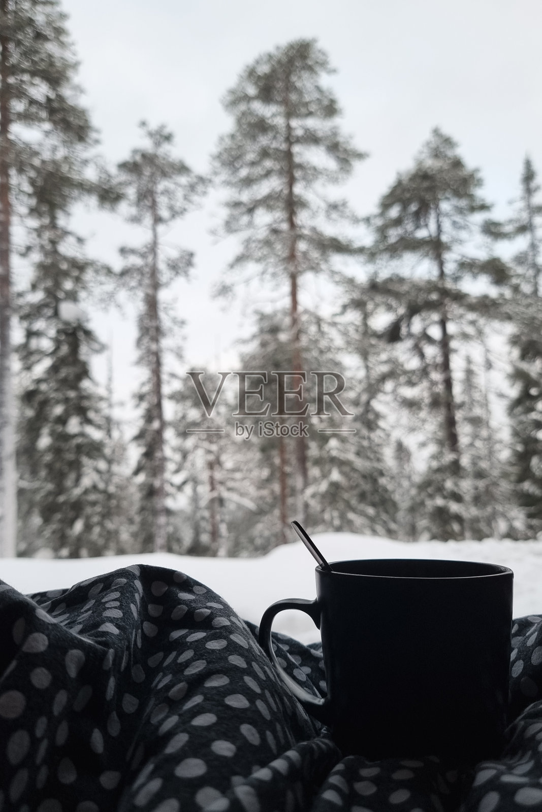 在羽绒被下醒来时，雪白的拉普兰景观照片摄影图片