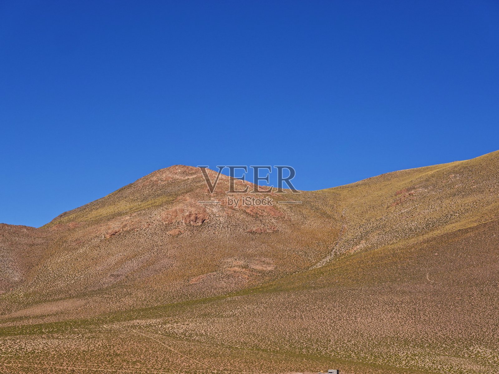 智利阿塔卡马照片摄影图片