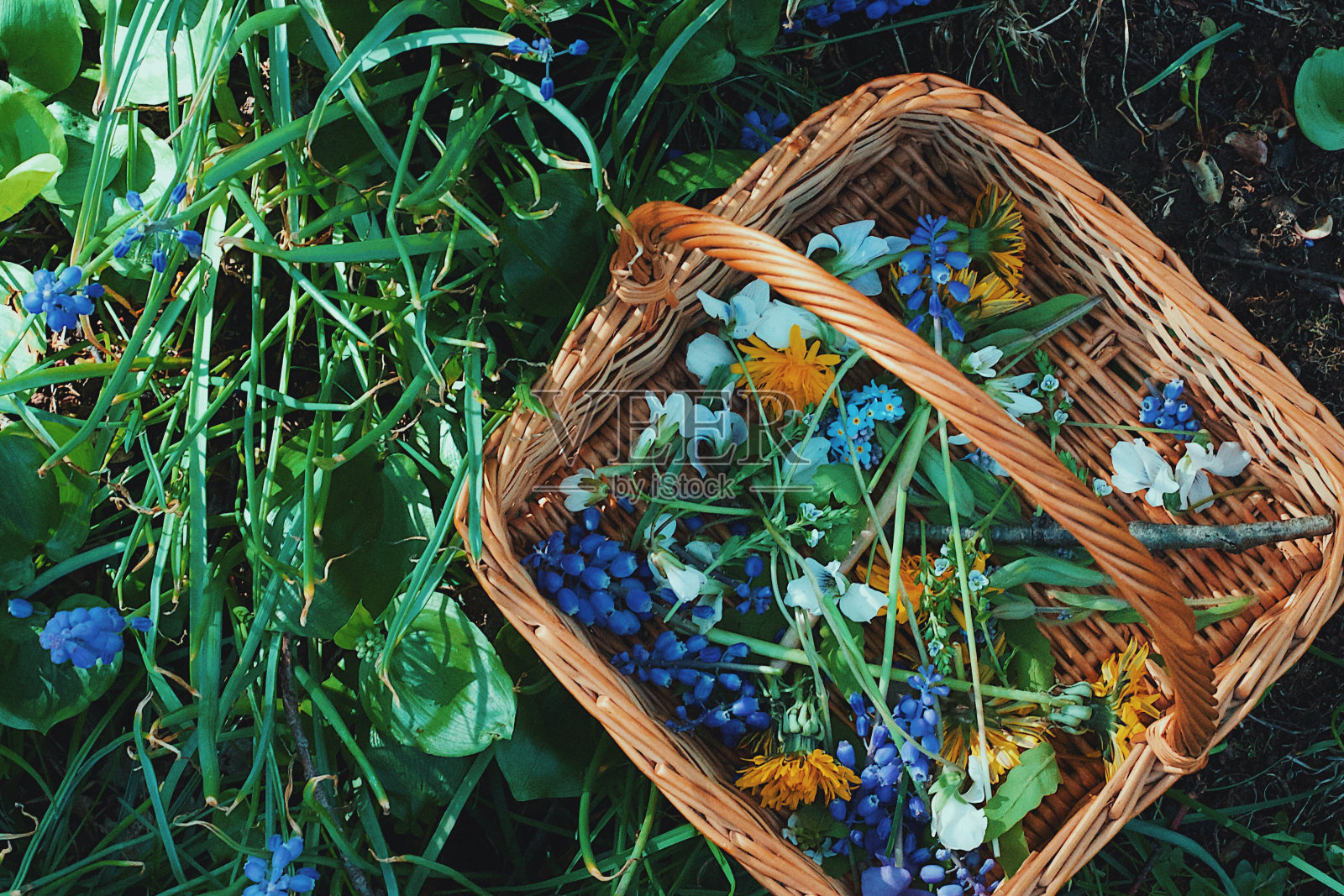 田间花篮的高角度视角照片摄影图片