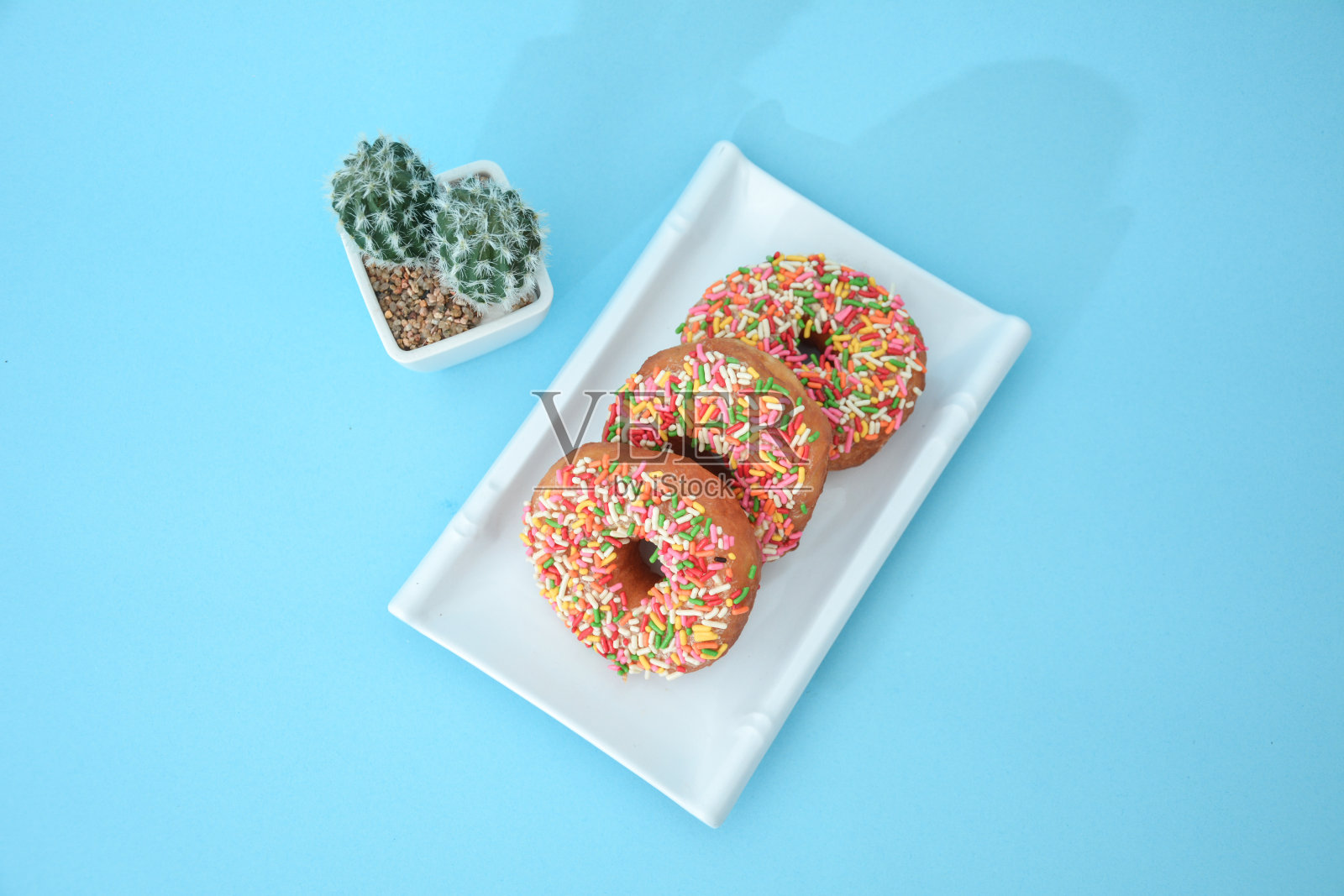 甜甜圈饼上有彩色的纹路，还有仙人掌树的饰物镶嵌在浅蓝色中照片摄影图片