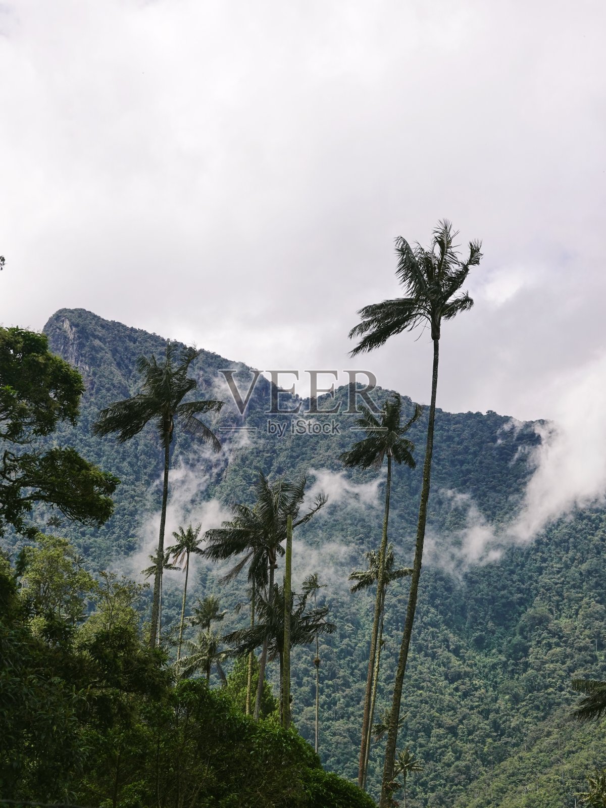实验、哥伦比亚照片摄影图片