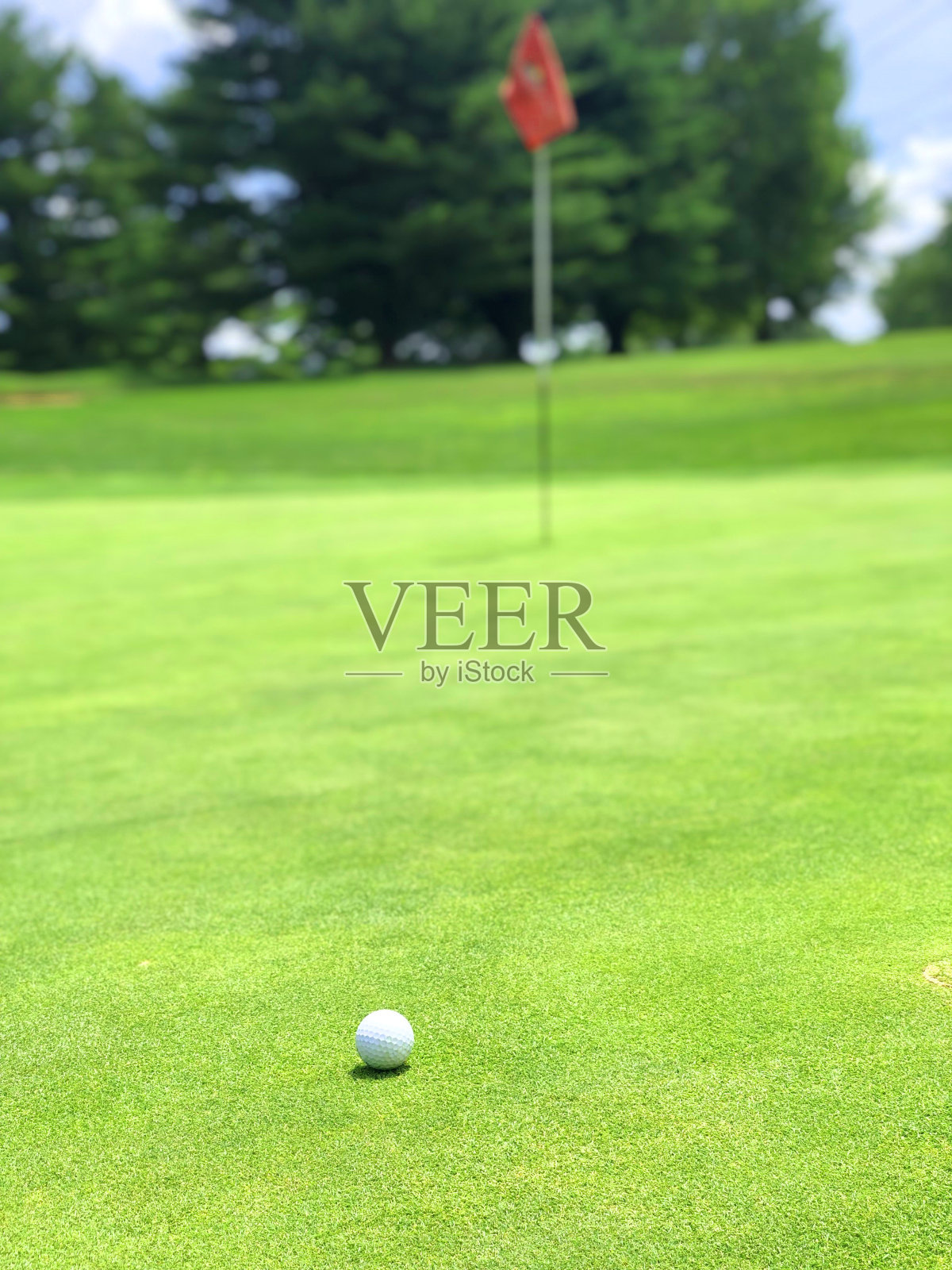 高尔夫绿色照片摄影图片
