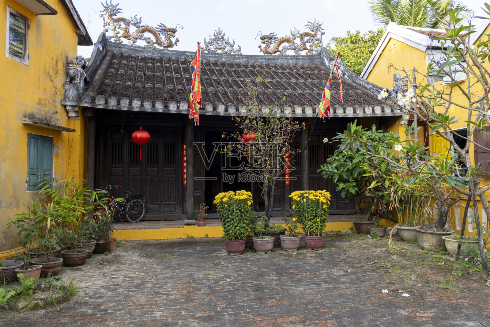 越南会安的金福公共住宅照片摄影图片