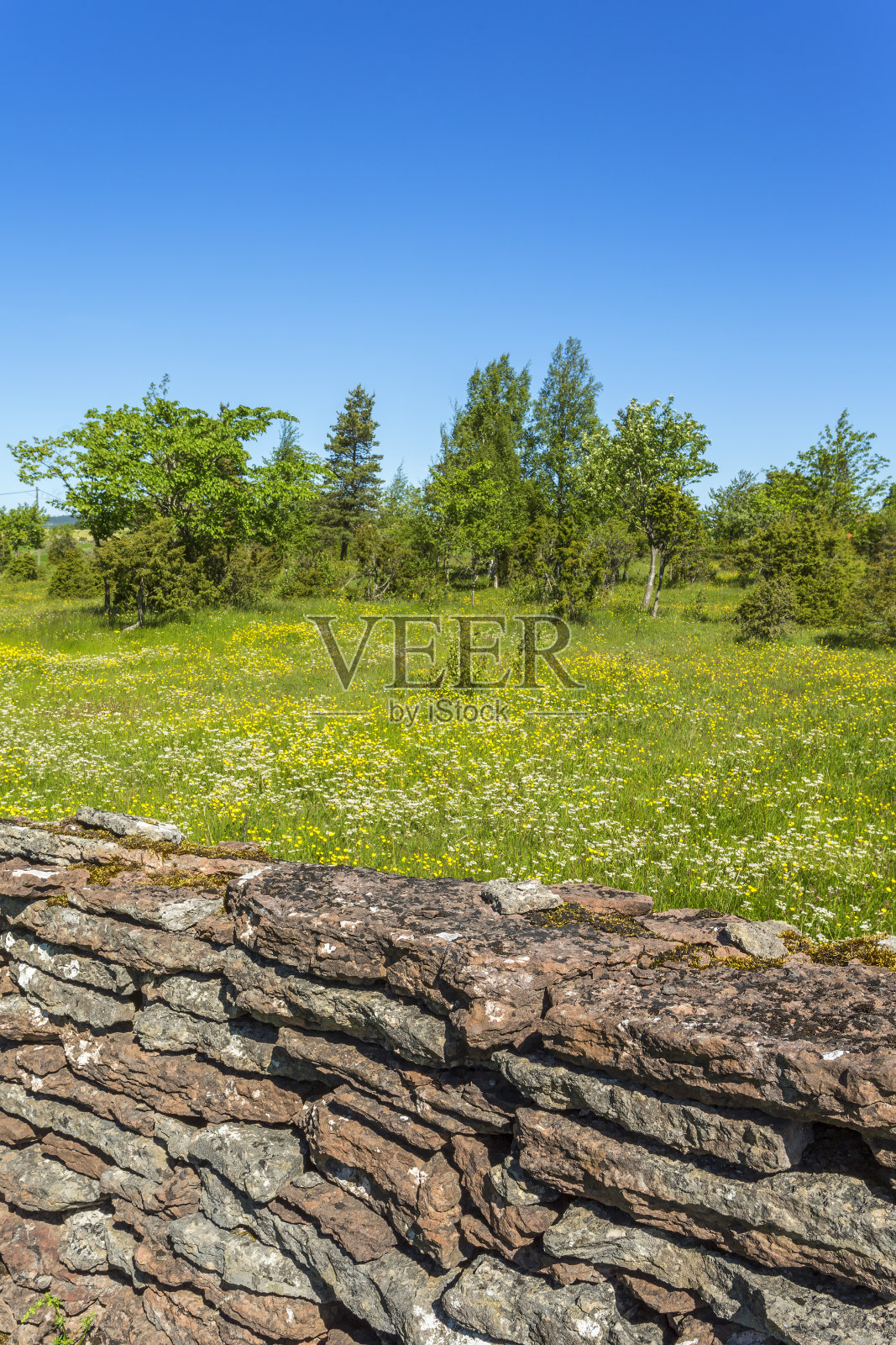 石灰岩石墙在开花的夏季草地上照片摄影图片