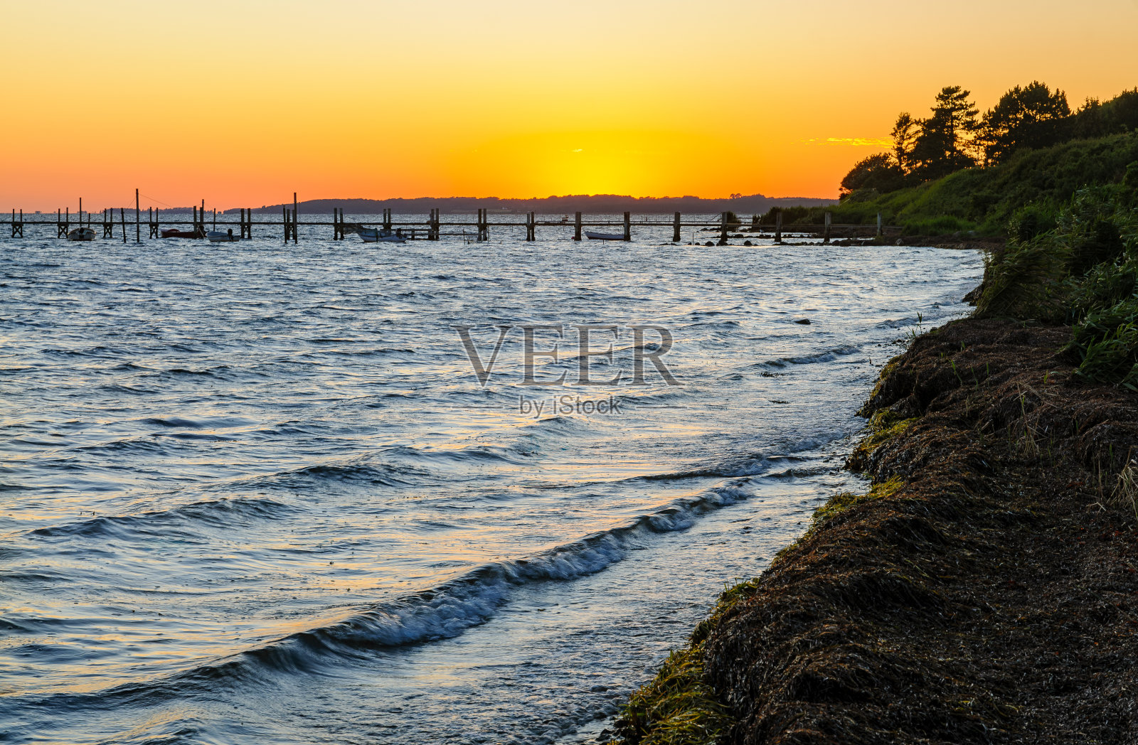金色的日落在宁静的水域与码头和郁郁葱葱的海岸线在宁静的海岸夜晚照片摄影图片