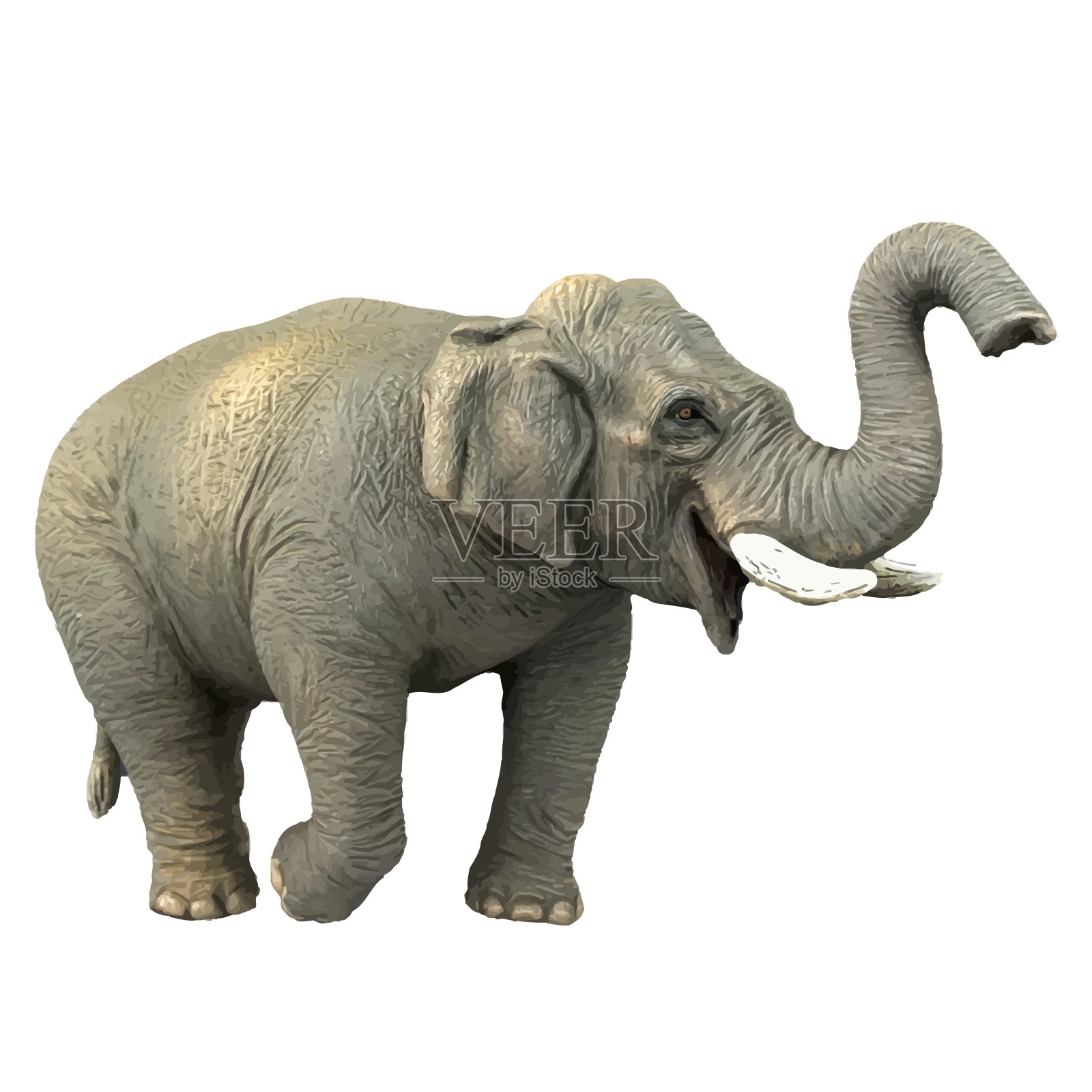 雄伟的大象照片摄影图片