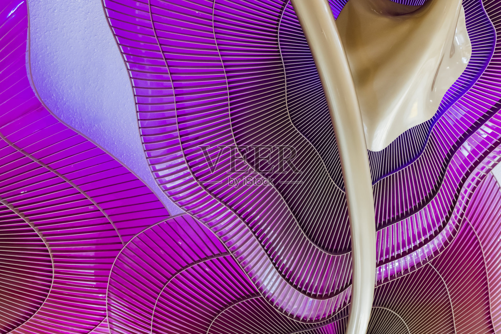 紫色不规则的蘑菇状屋顶结构照片摄影图片