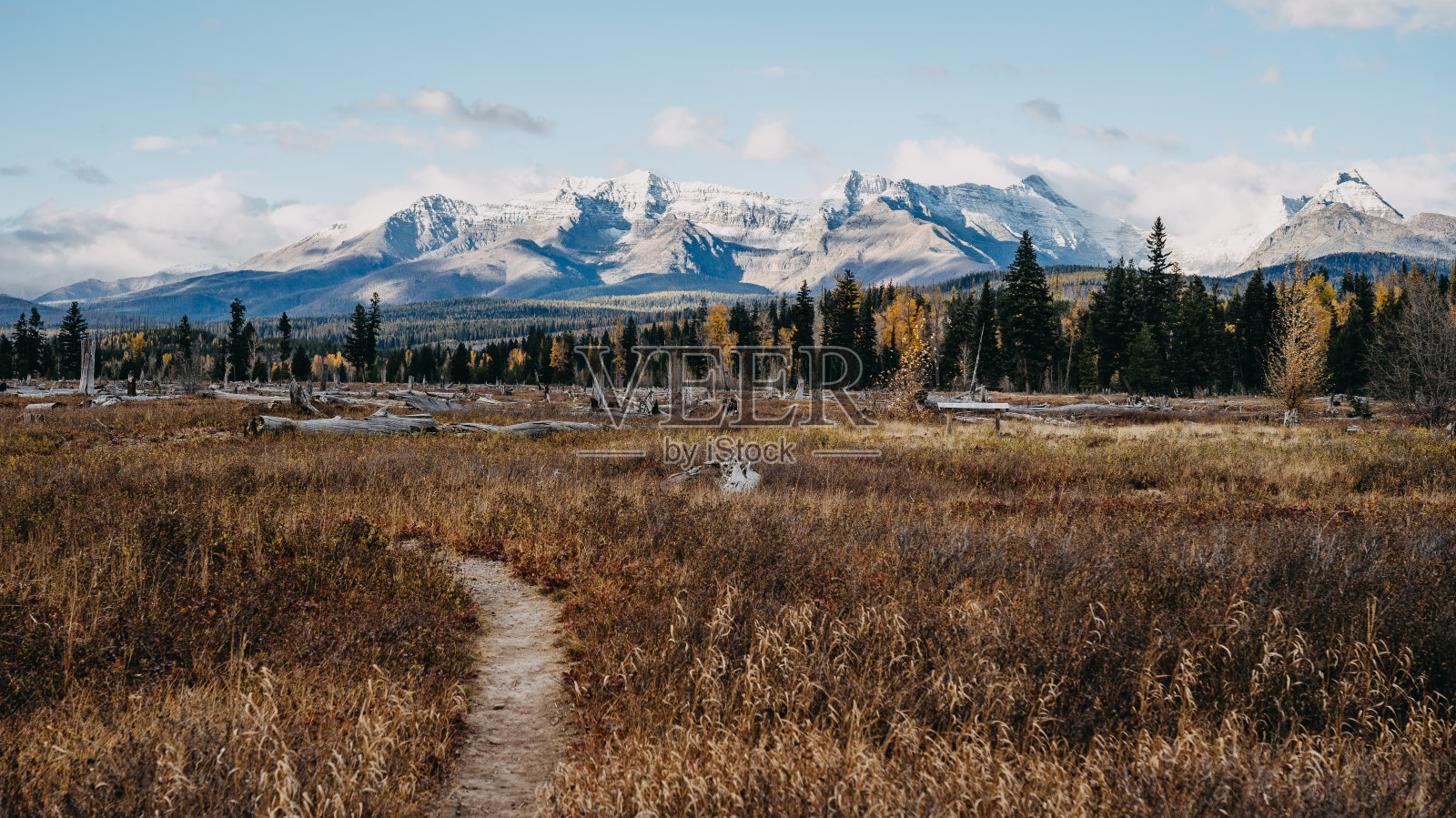冬天，田野对着天空的风景照片摄影图片