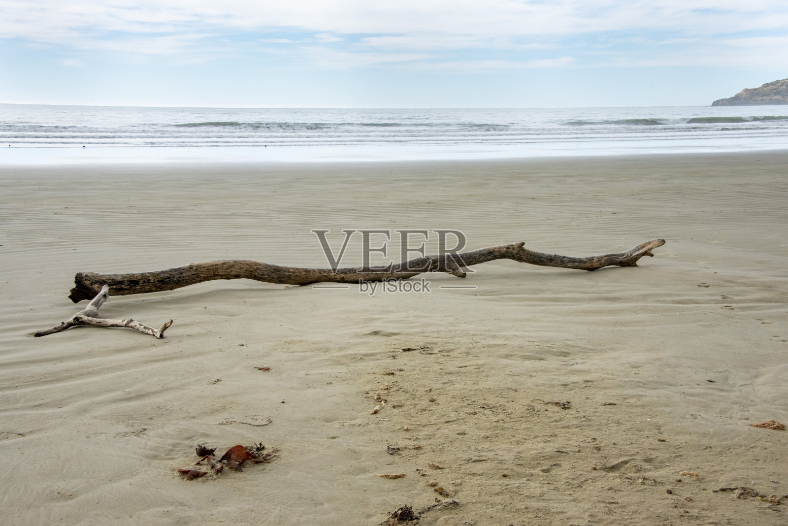 莫拉基巨石海滩照片摄影图片