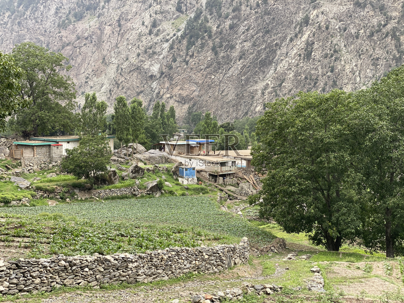 村子里的房子照片摄影图片