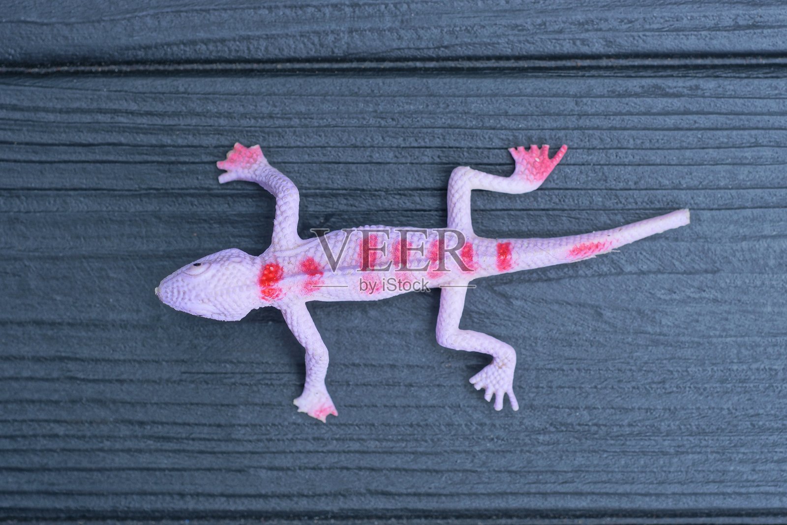 塑料粉红色玩具蜥蜴躺在黑色木桌上照片摄影图片