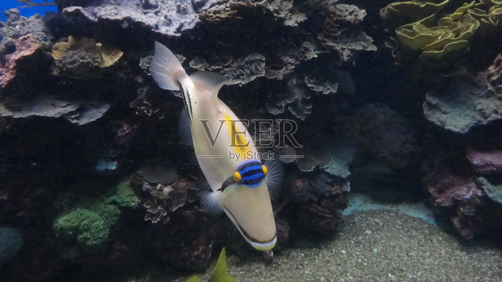 以色列-埃拉特照片摄影图片