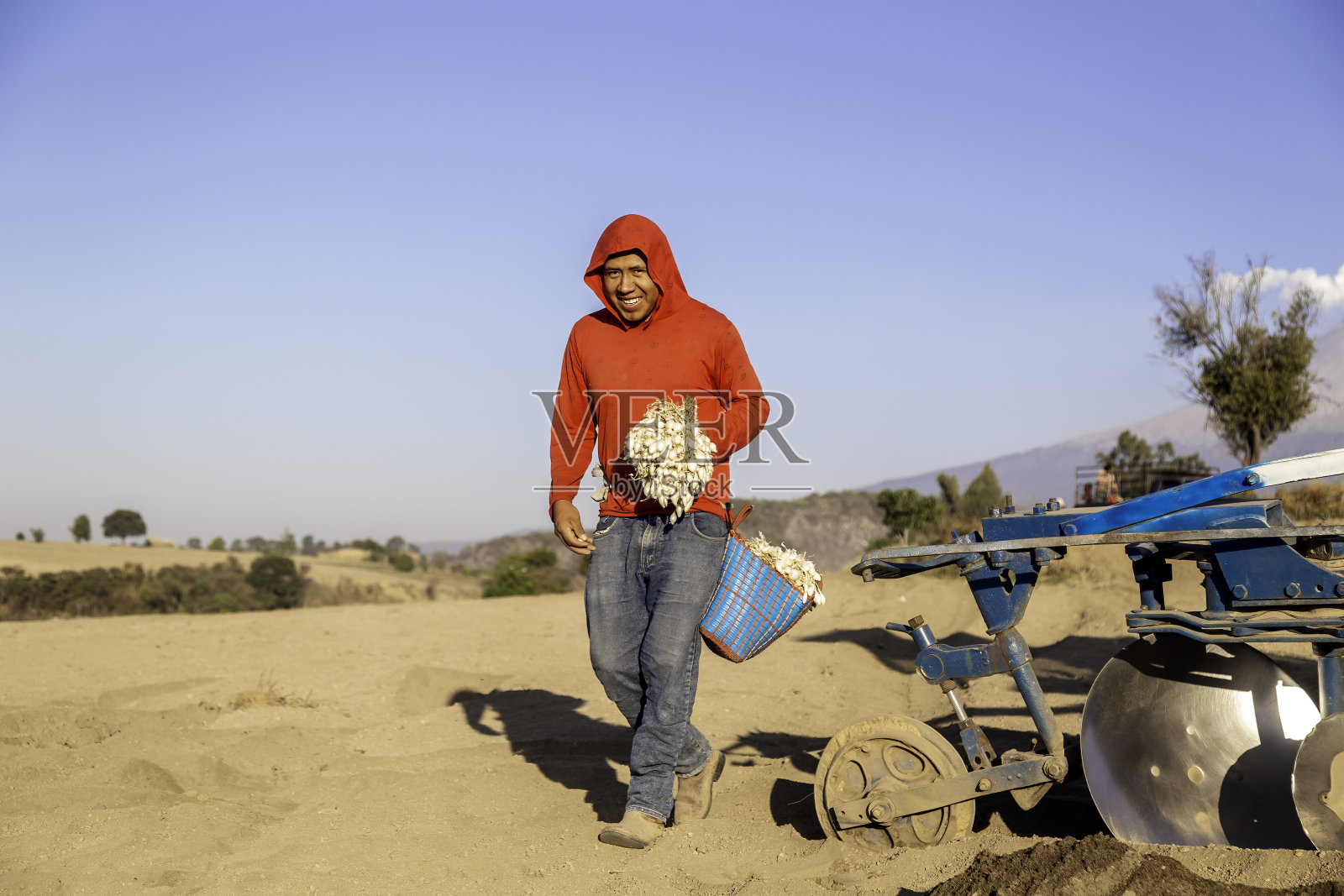 播种洋葱的农业工人照片摄影图片