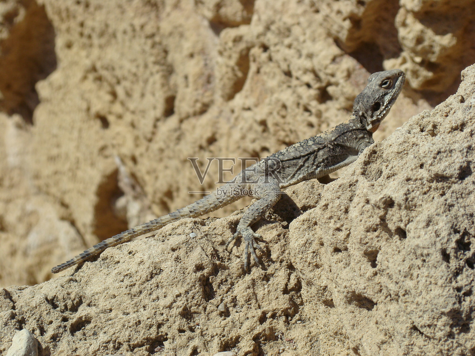 以色列,凯撒利亚照片摄影图片