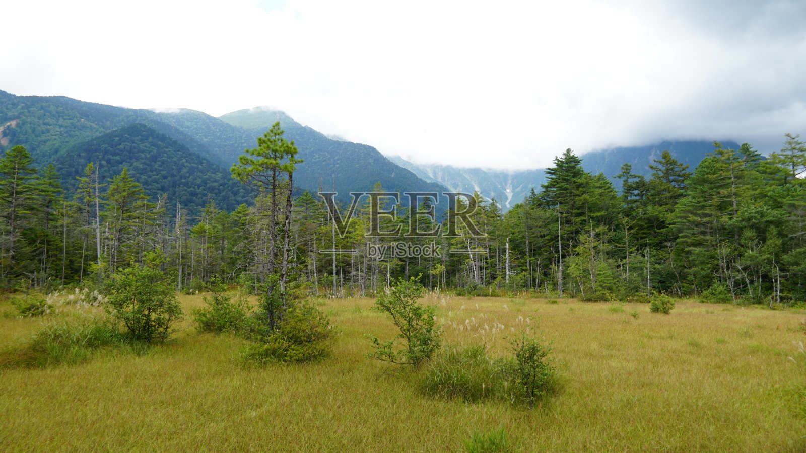 日本长野县夏季的上高内照片摄影图片