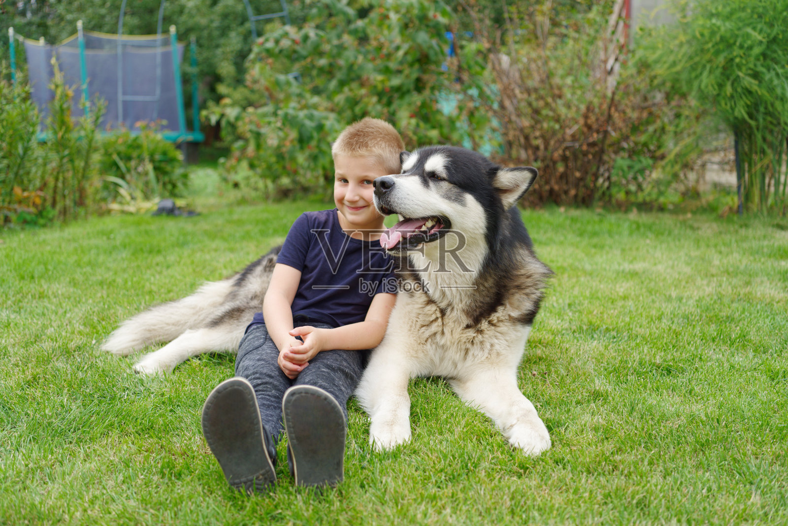 一个男孩和一只狗在绿草地上照片摄影图片