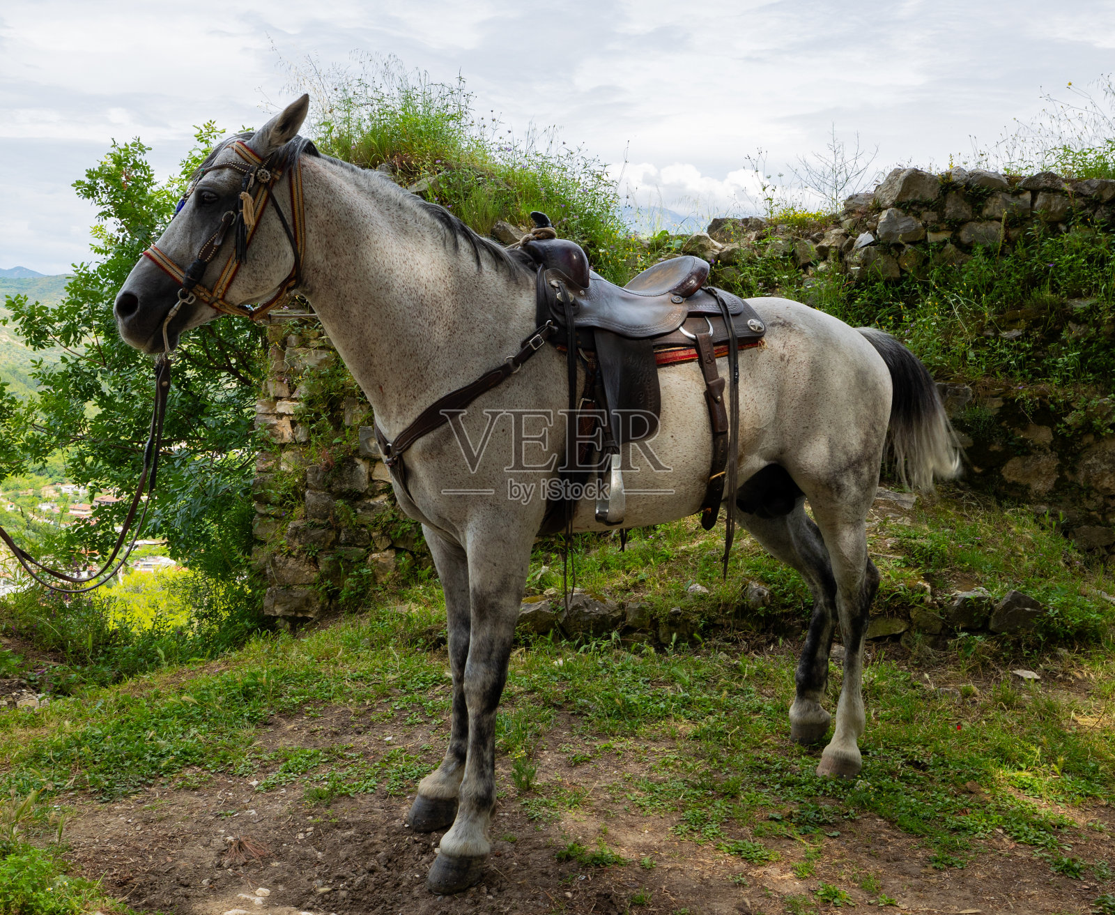 在阿尔巴尼亚中部地区的培拉特，一匹拴在奥斯曼城堡里的白马照片摄影图片