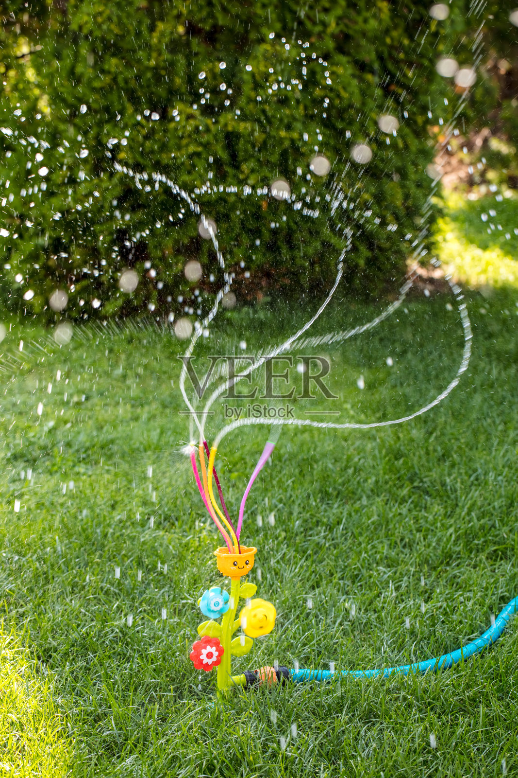 有趣的花园洒水器浇草照片摄影图片